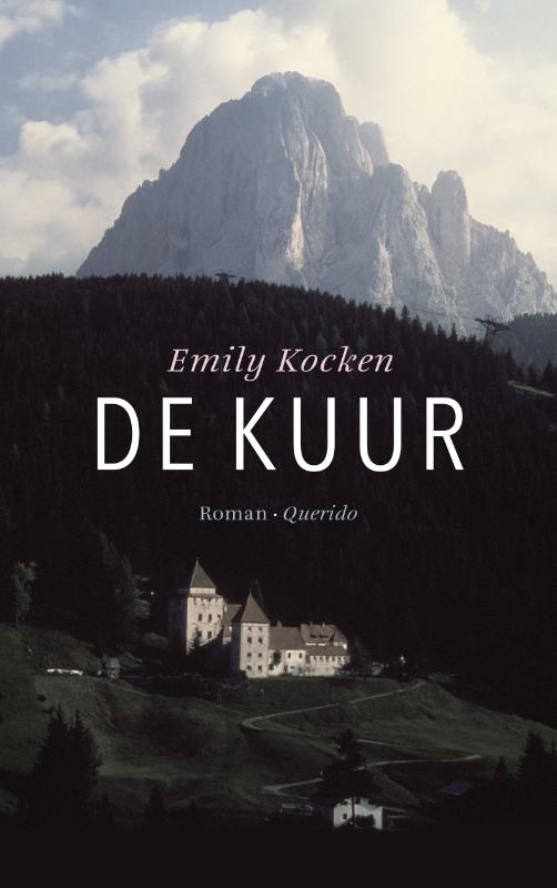 Omslag van De kuur