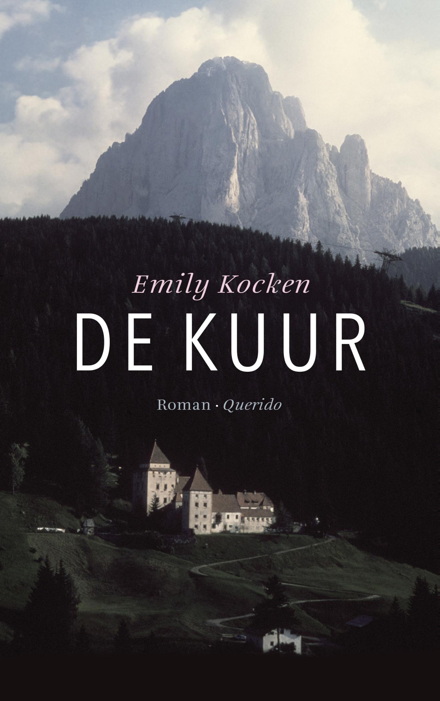 Omslag van De kuur