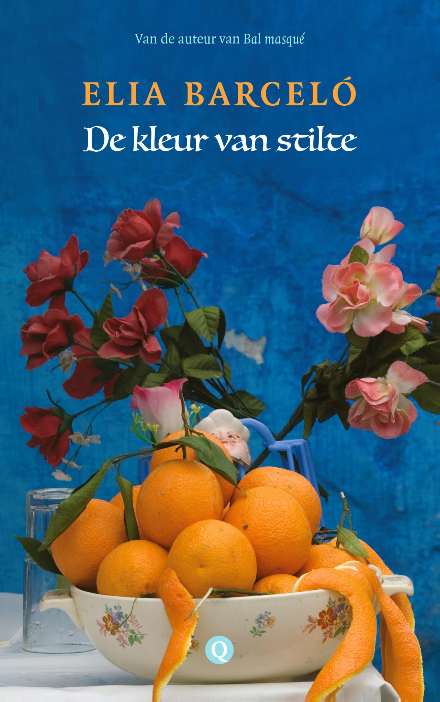 Omslag van De kleur van stilte