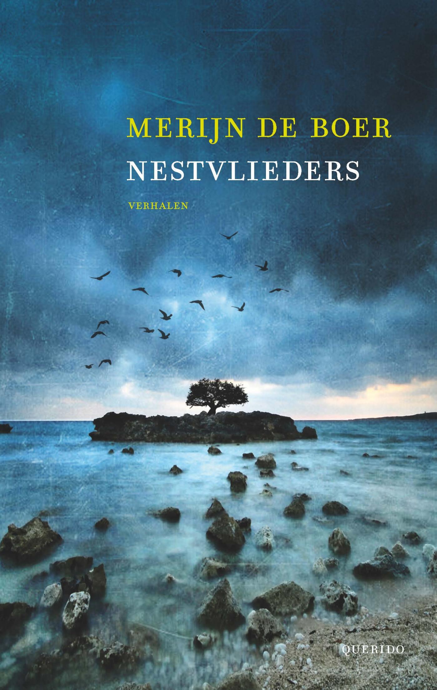 Omslag van Nestvlieders