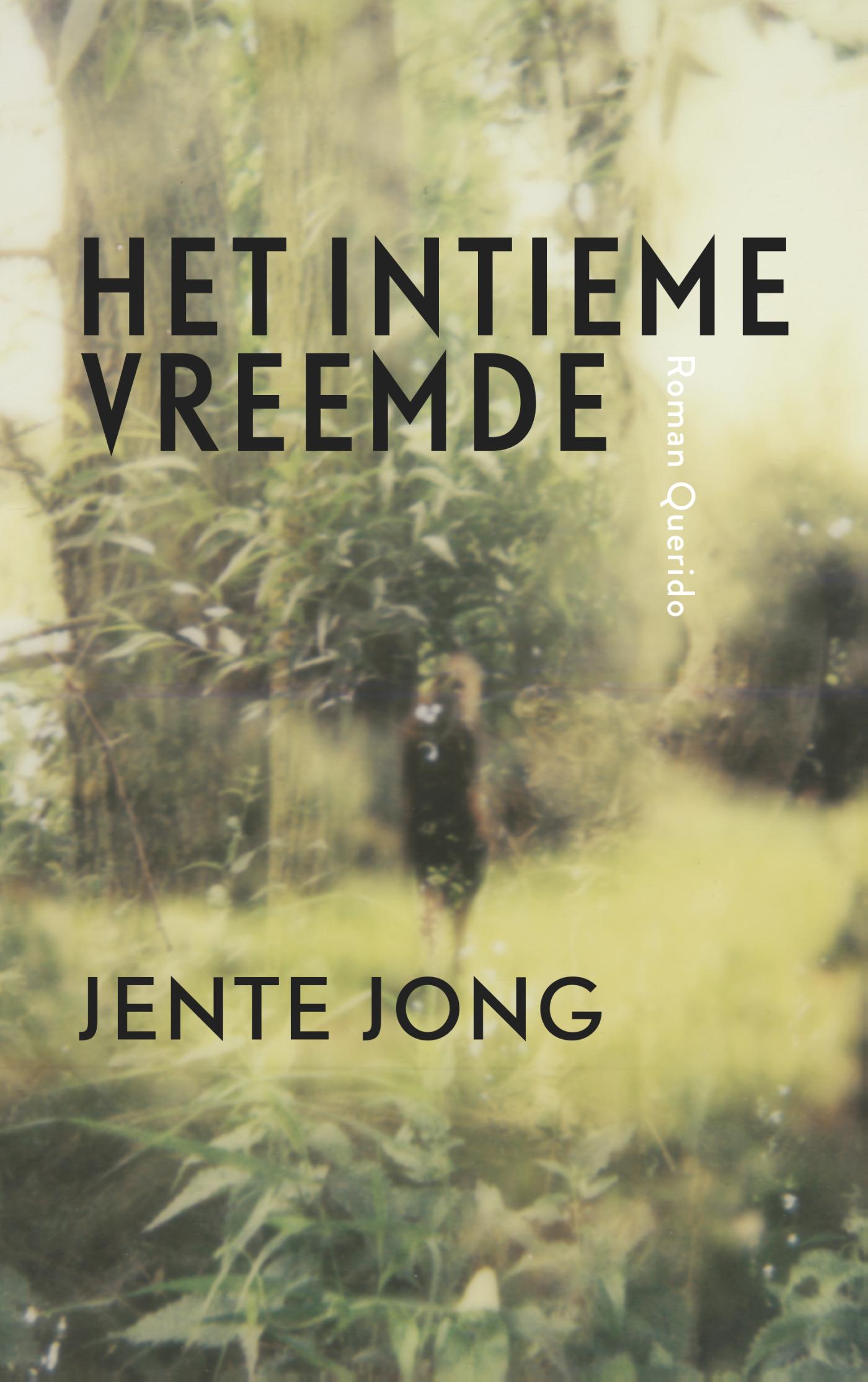 Omslag van Het intieme vreemde