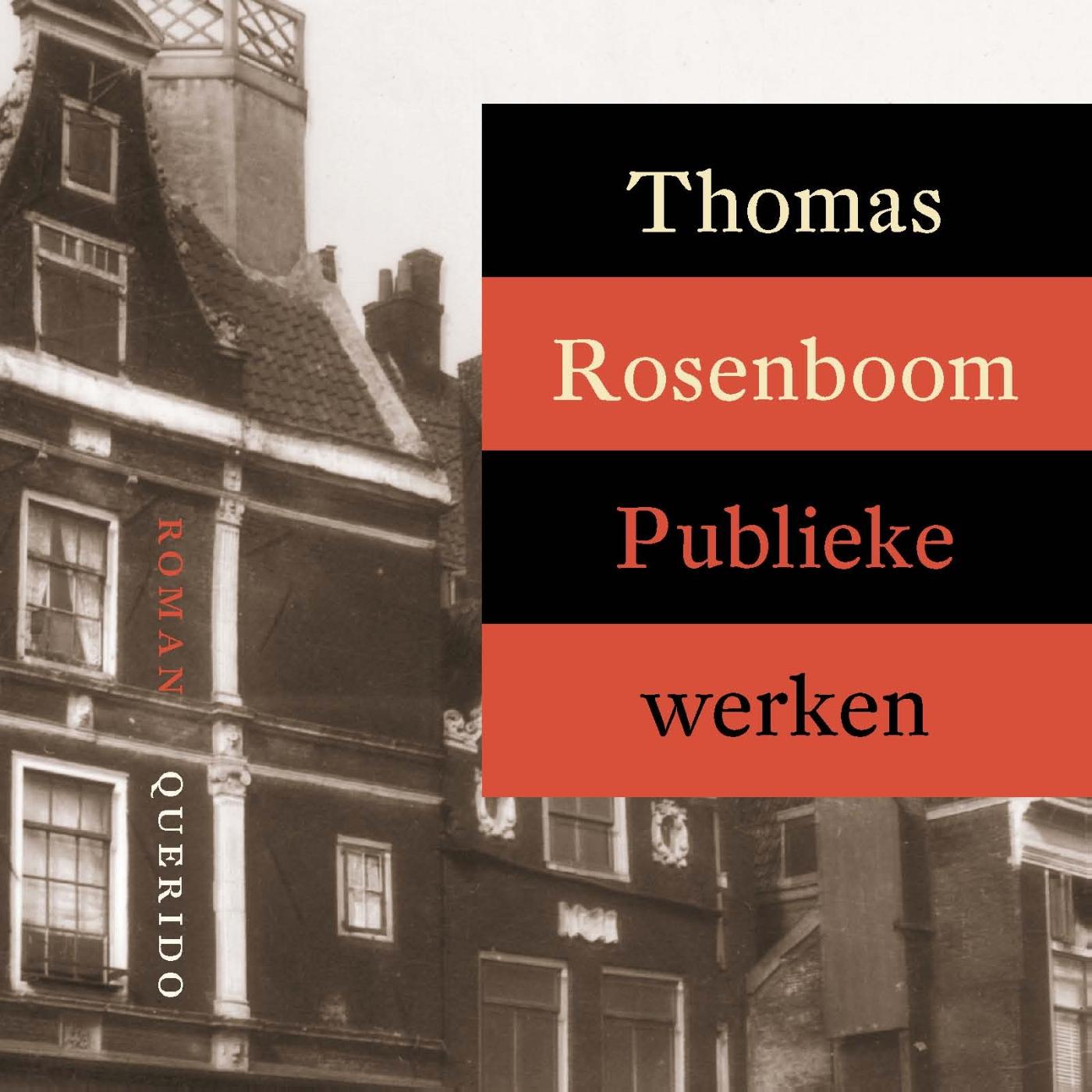 Omslag van Publieke werken