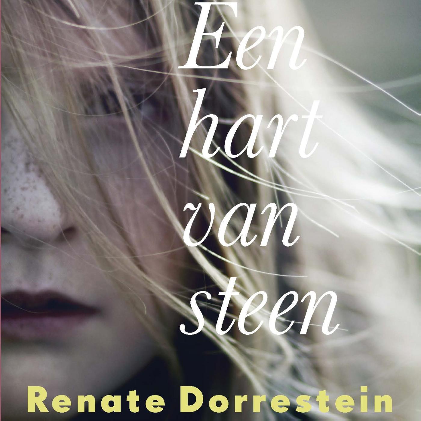 Omslag van Een hart van steen