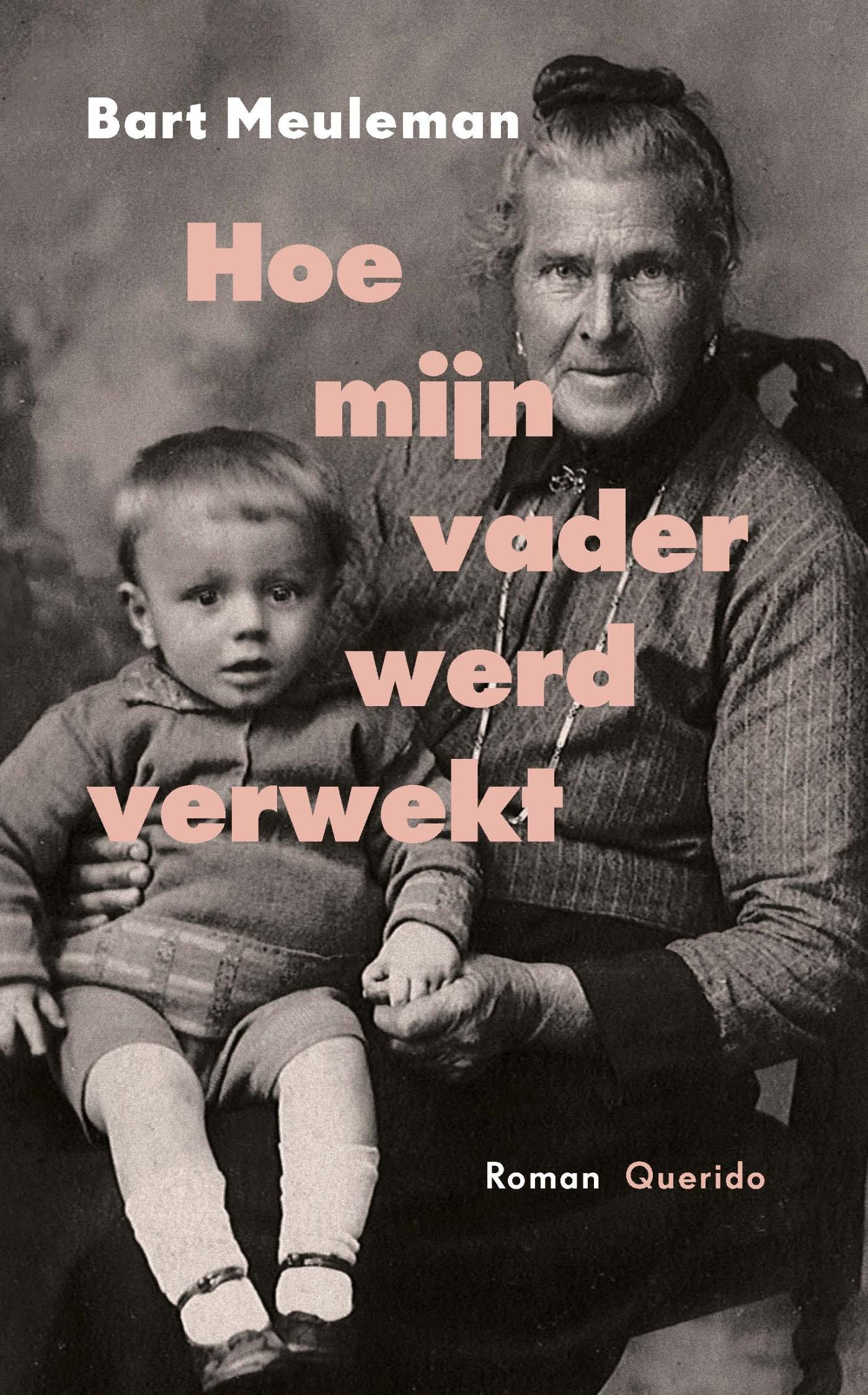 Omslag van Hoe mijn vader werd verwekt