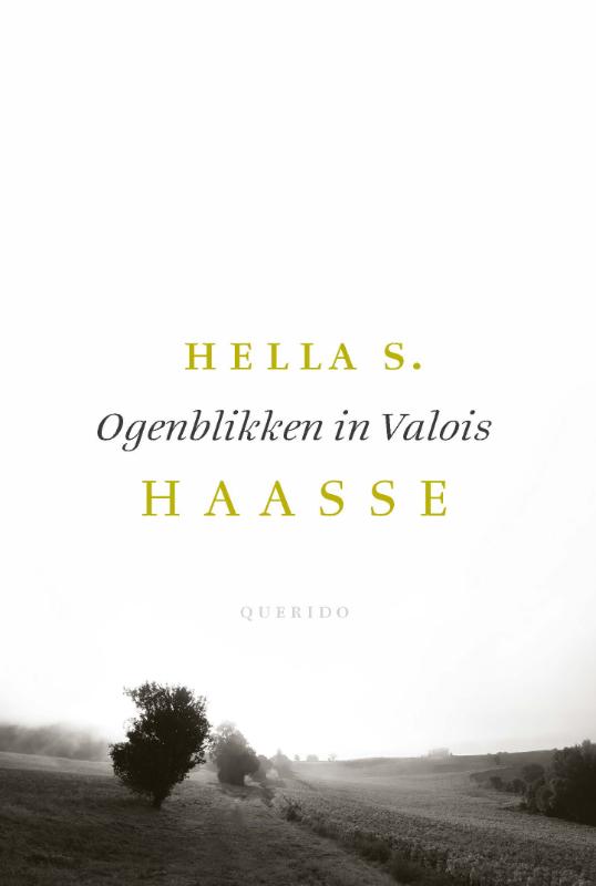 Omslag van Ogenblikken in Valois