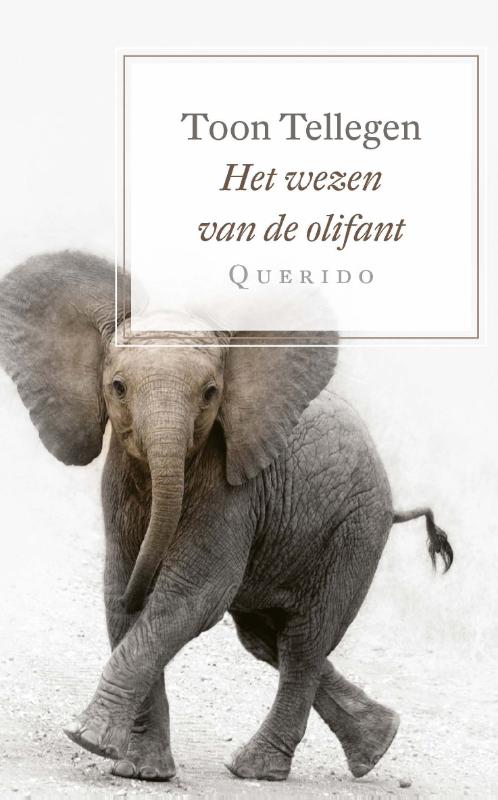 Omslag van Het wezen van de olifant
