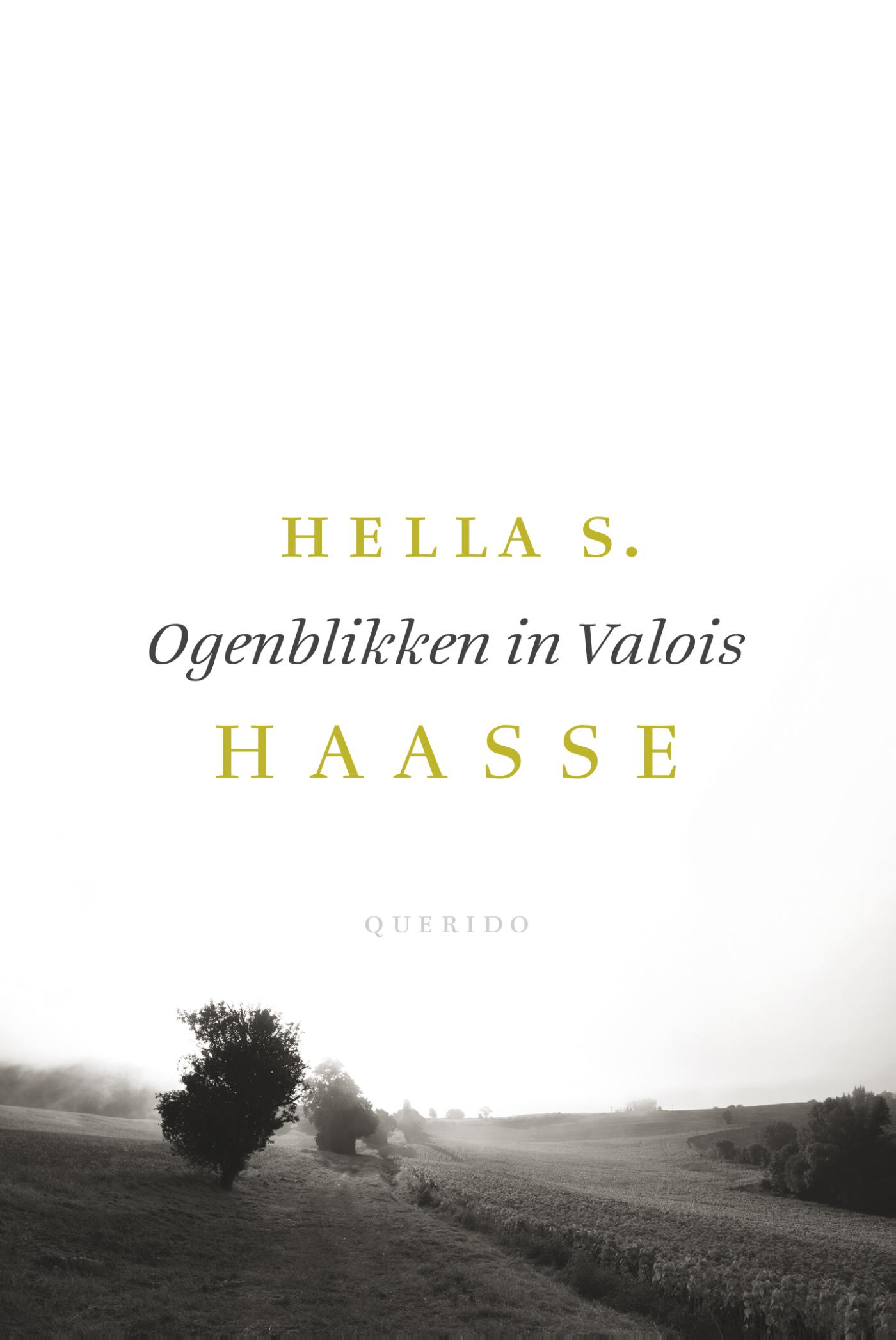Omslag van Ogenblikken in Valois
