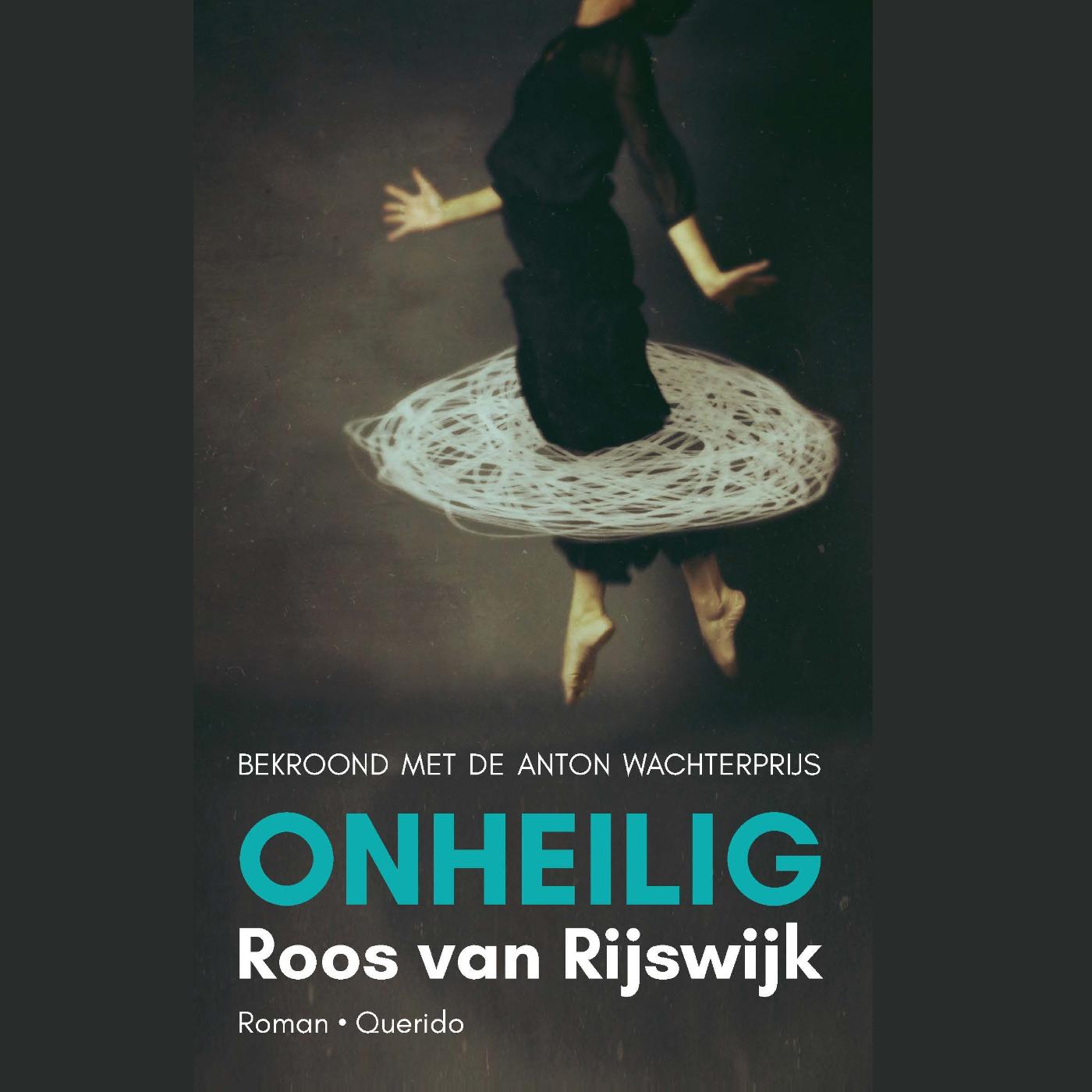 Omslag van Onheilig