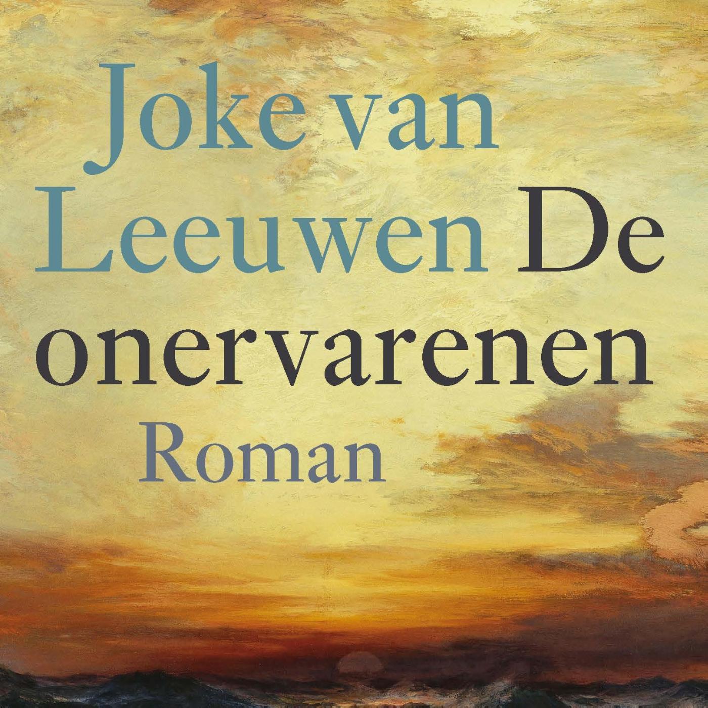 Omslag van De onervarenen