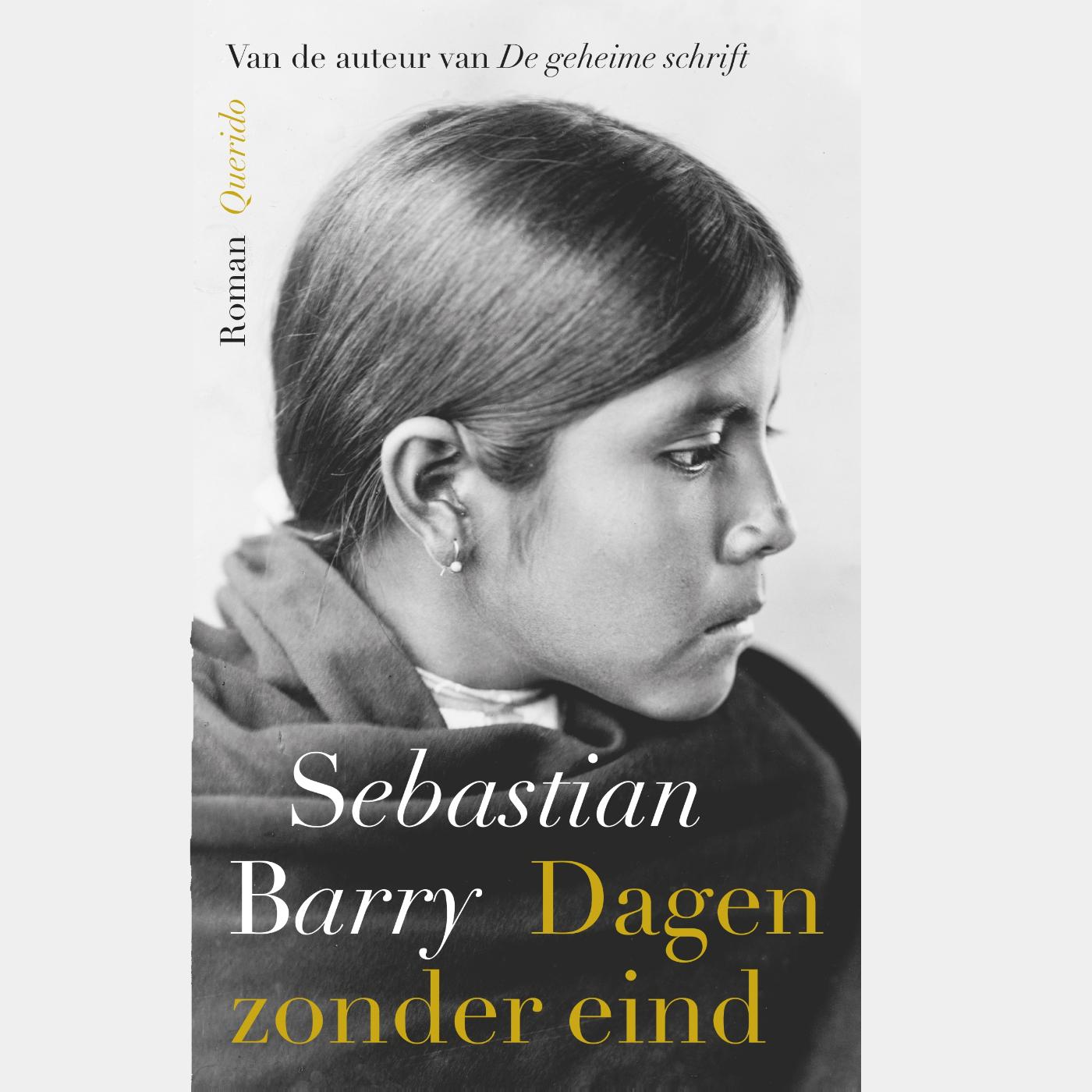 Omslag van Dagen zonder eind