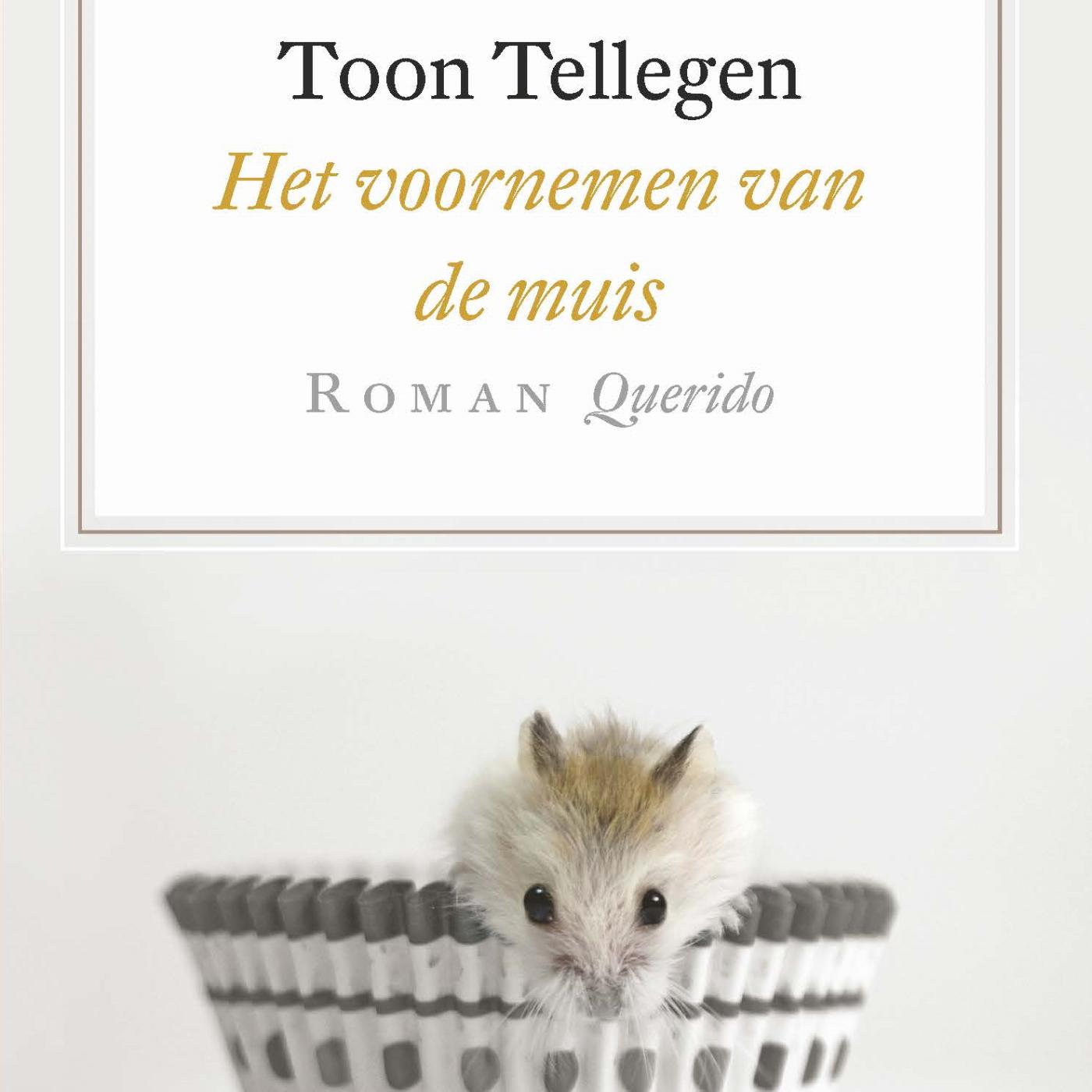 Omslag van Het voornemen van de muis