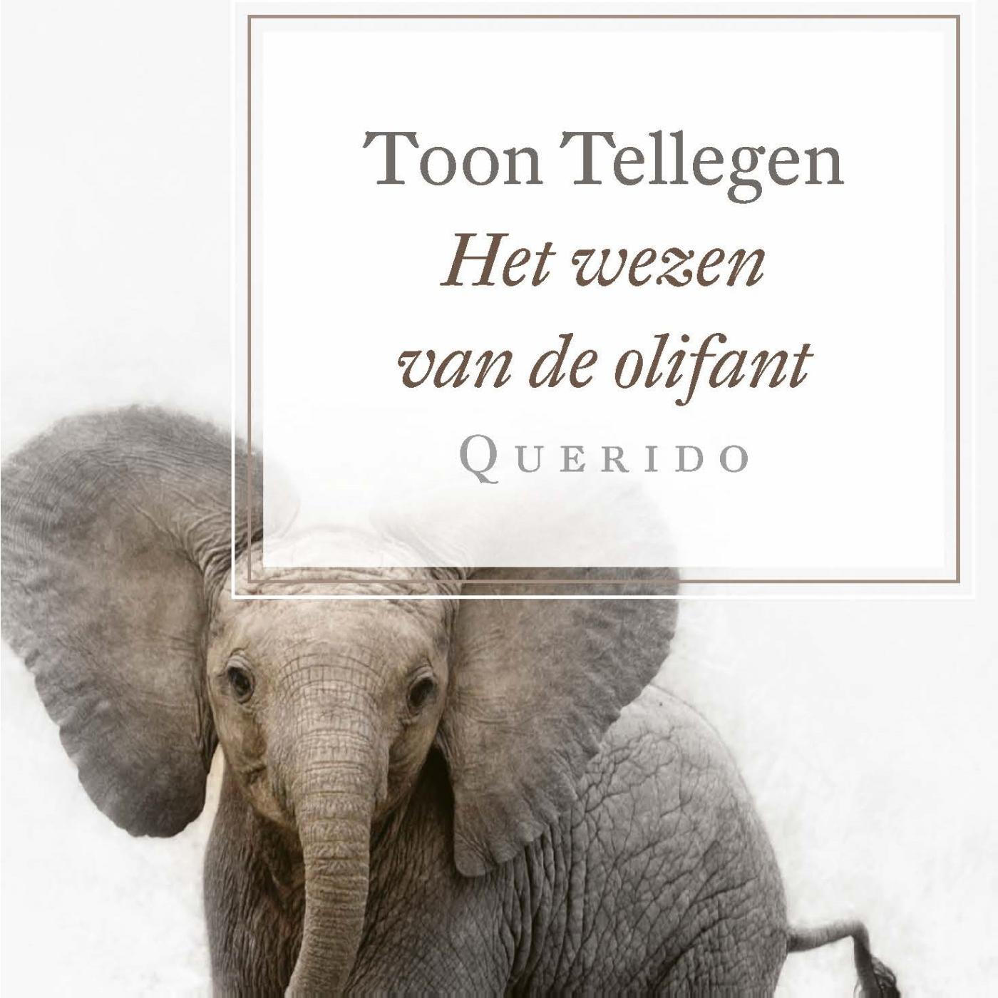 Omslag van Het wezen van de olifant