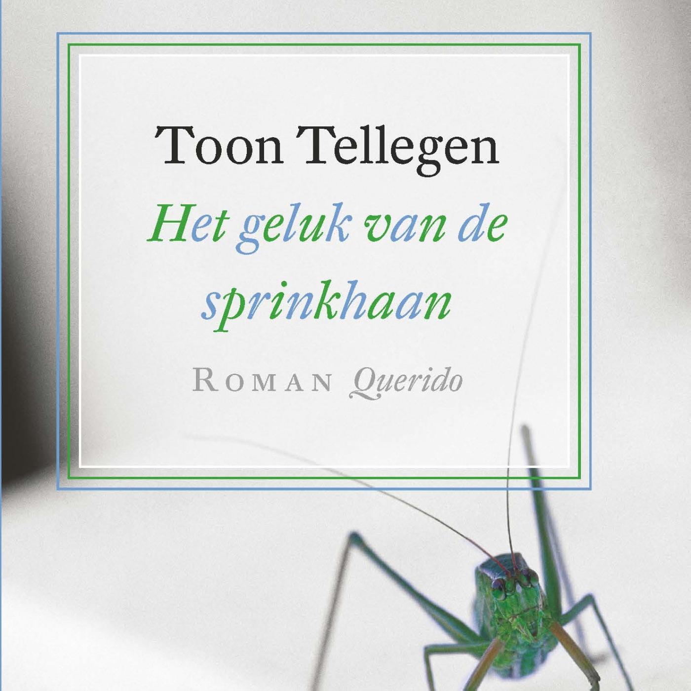 Omslag van Het geluk van de sprinkhaan
