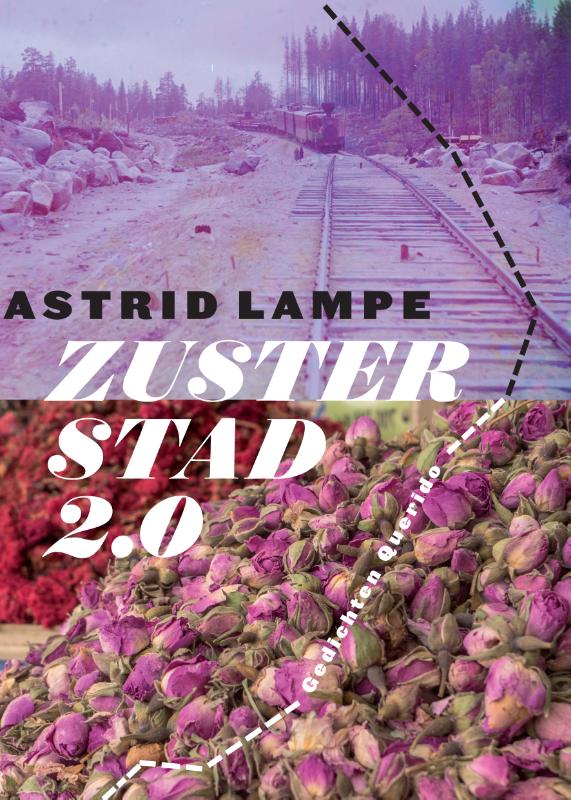 Omslag van Zusterstad 2.0