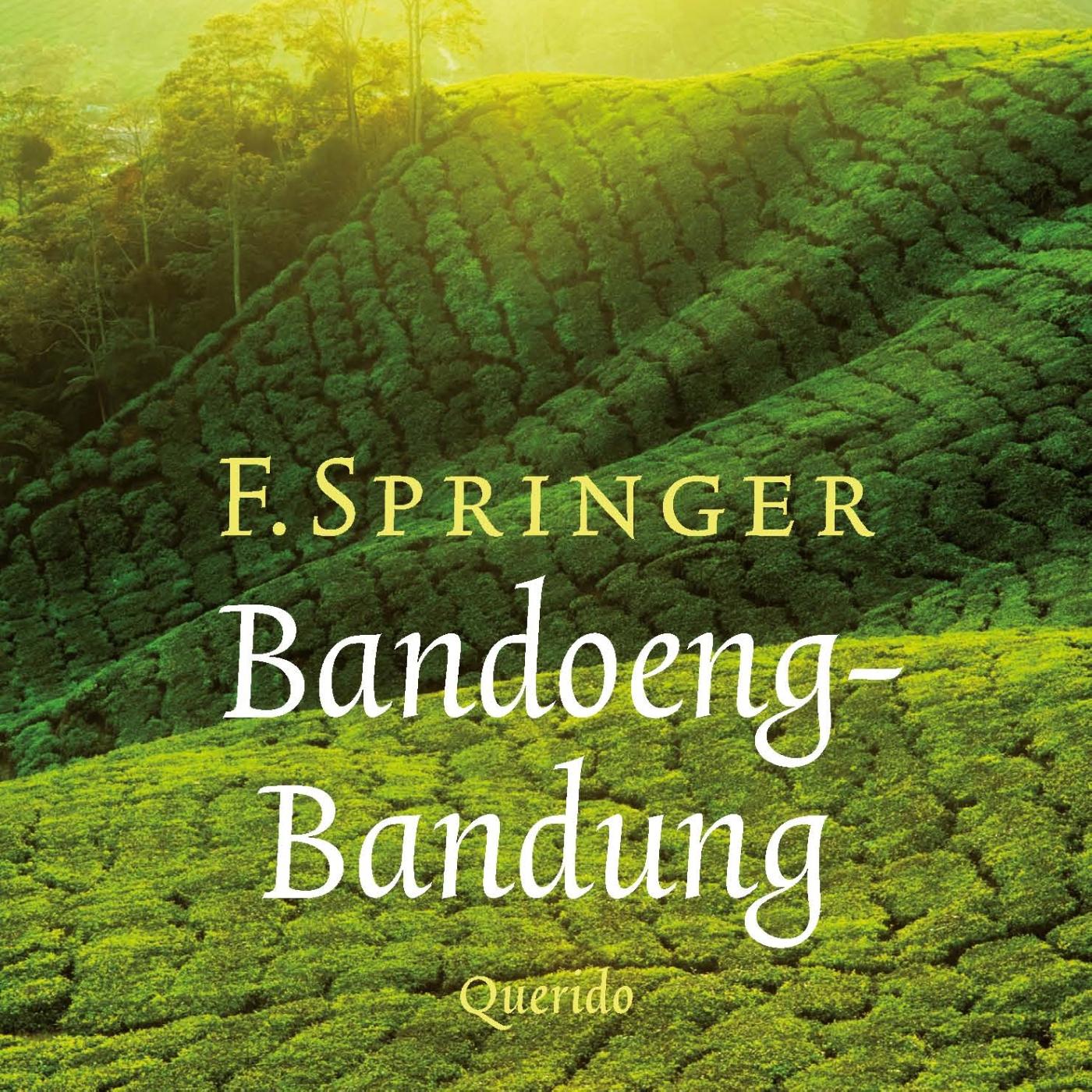 Omslag van Bandoeng-Bandung