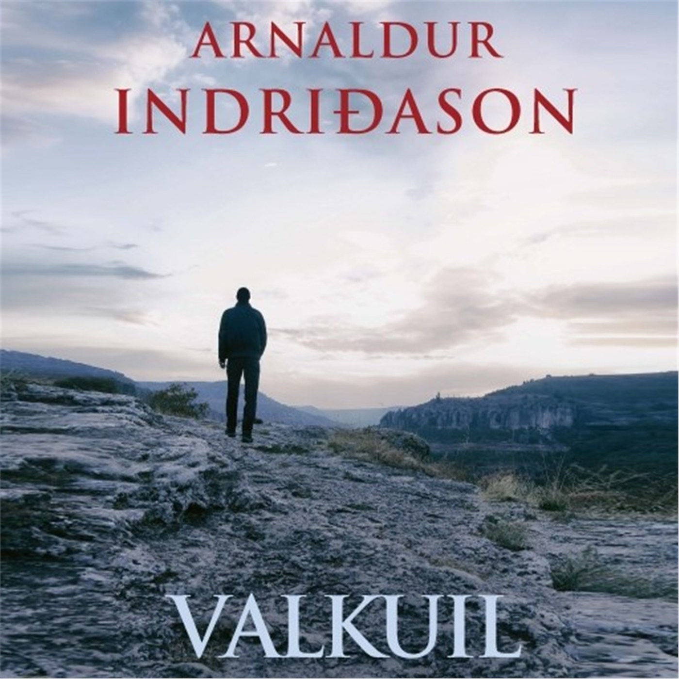 Omslag van Valkuil