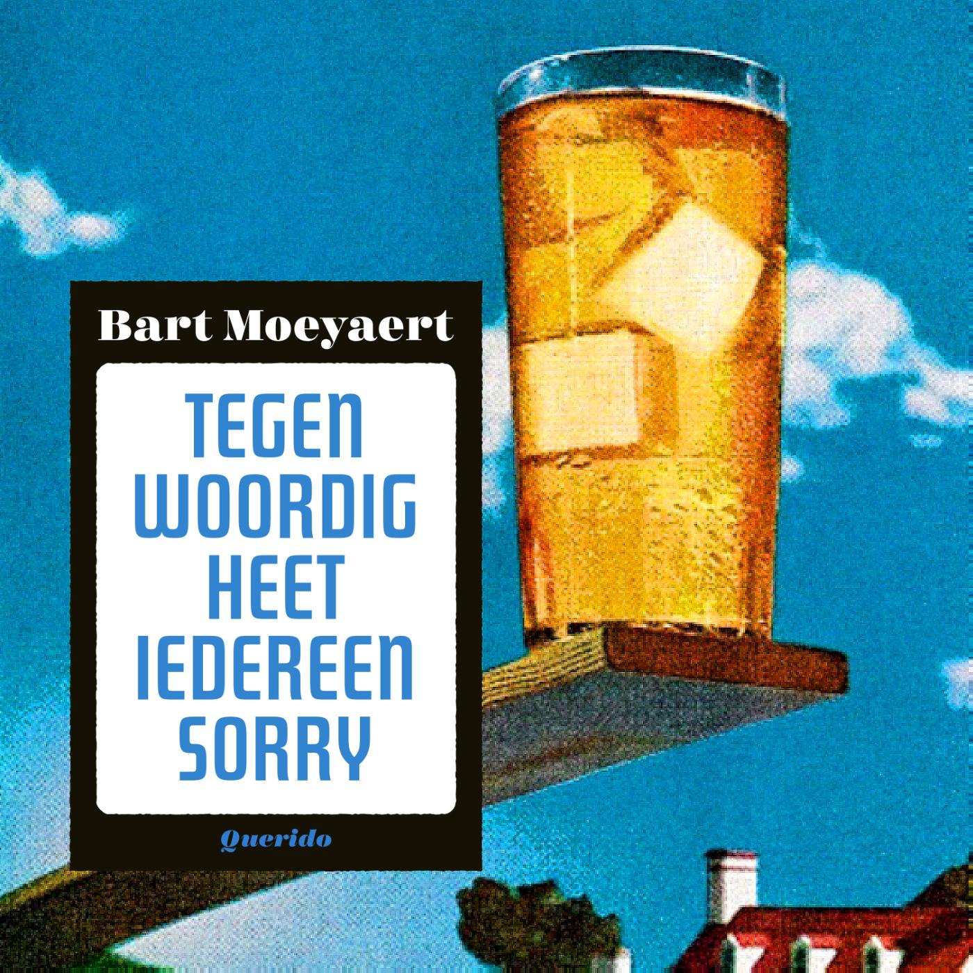 Omslag van Tegenwoordig heet iedereen Sorry