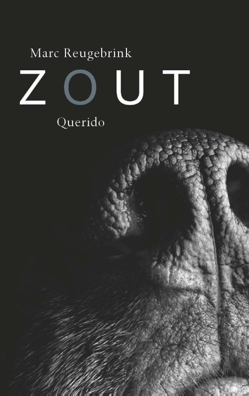 Omslag van Zout