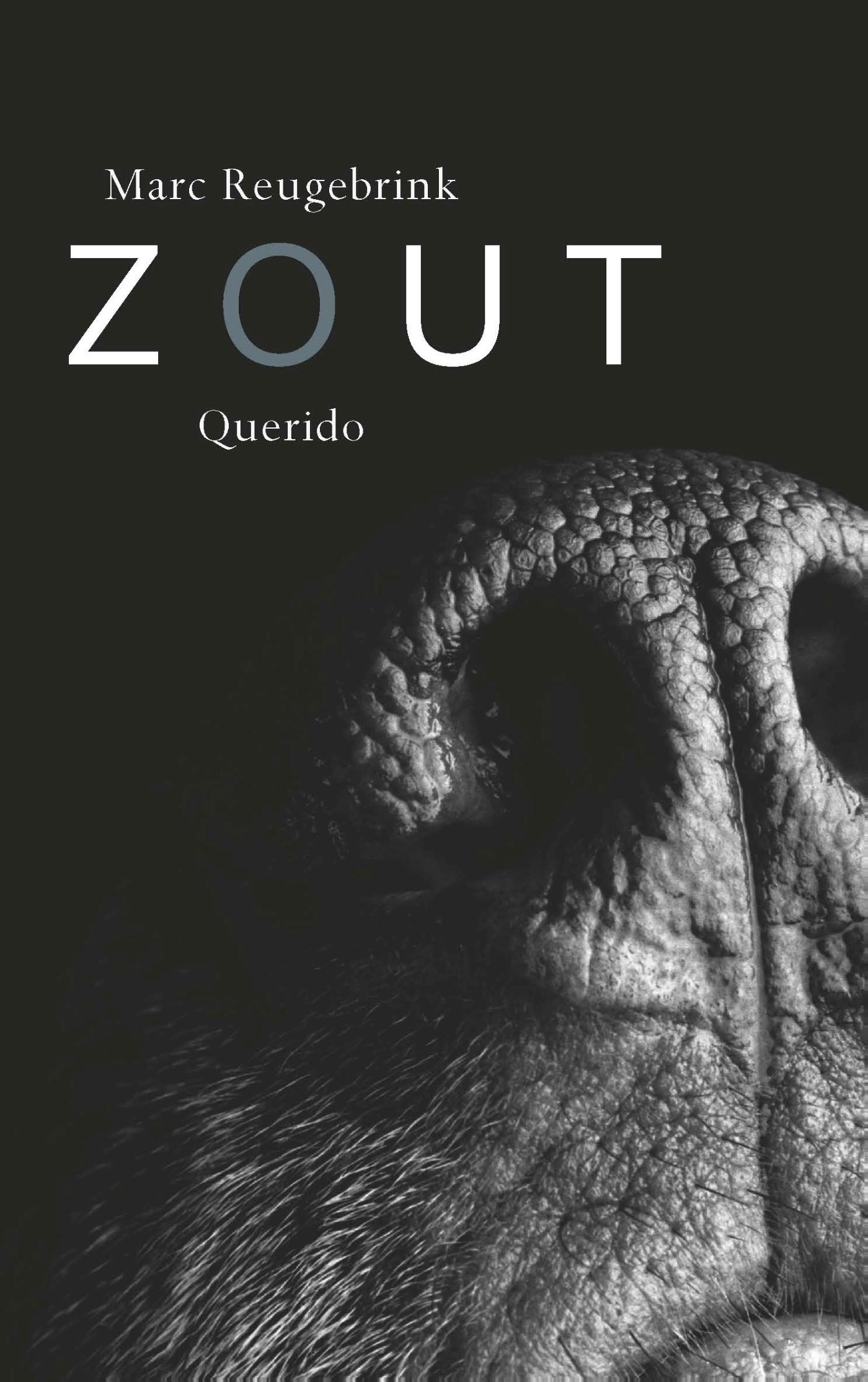 Omslag van Zout