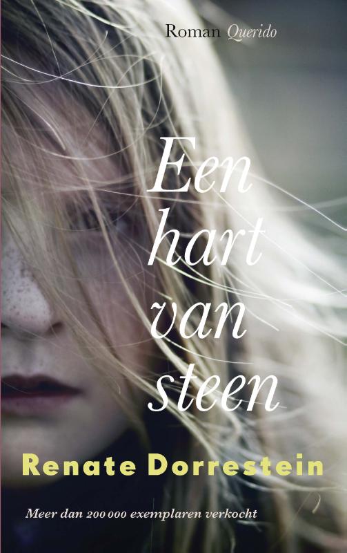 Omslag van Een hart van steen