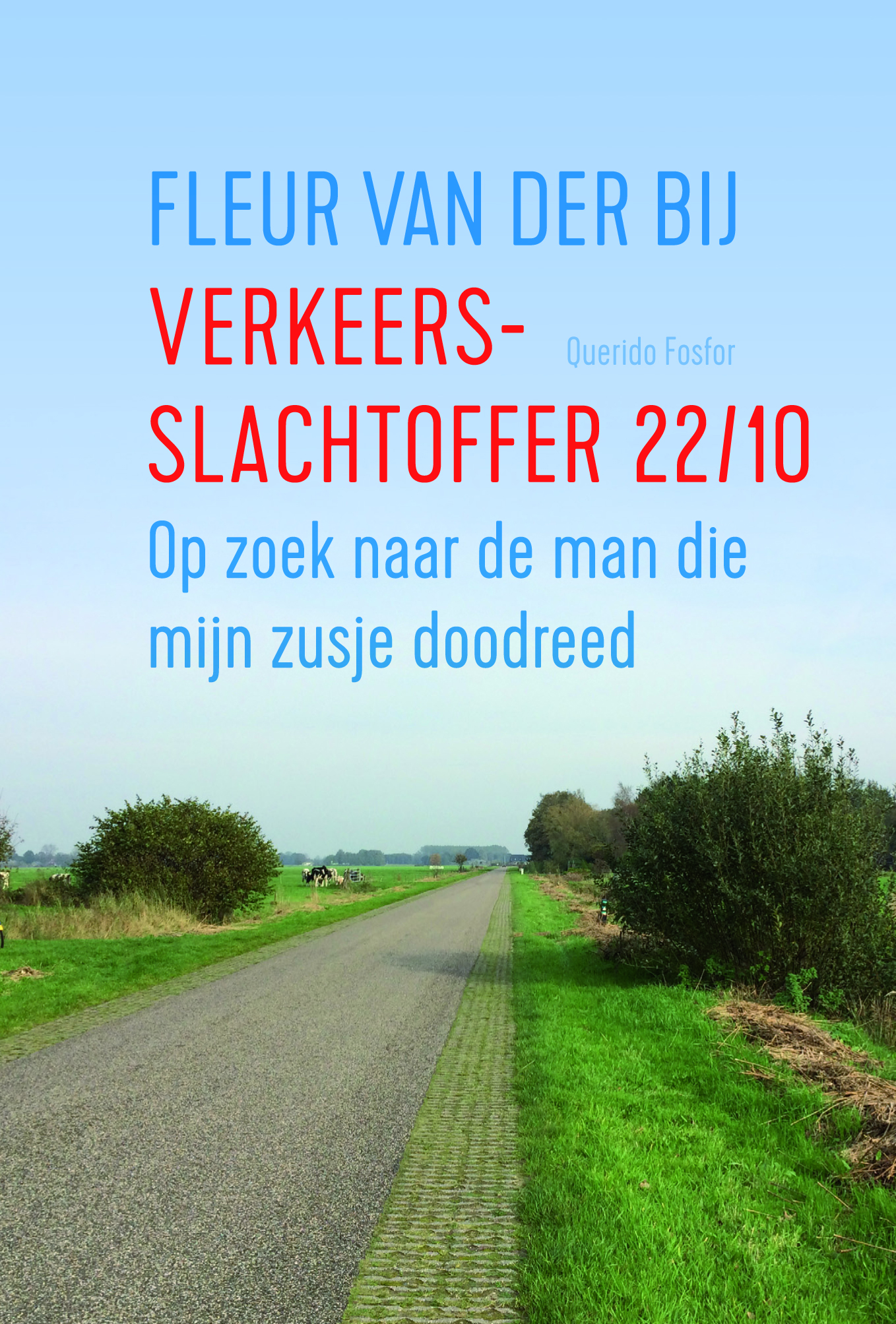 Omslag van Verkeersslachtoffer 22/10