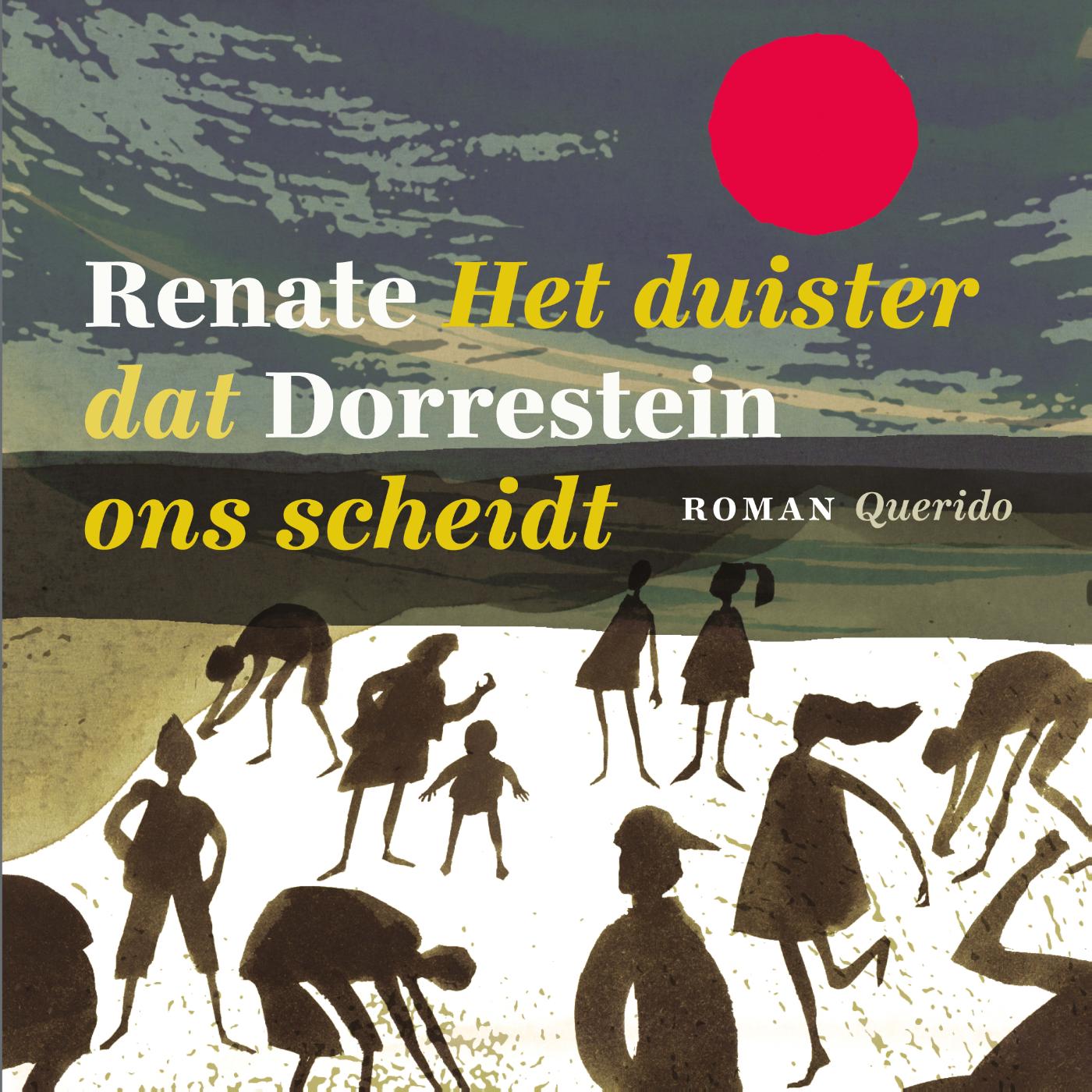 Omslag van Het duister dat ons scheidt