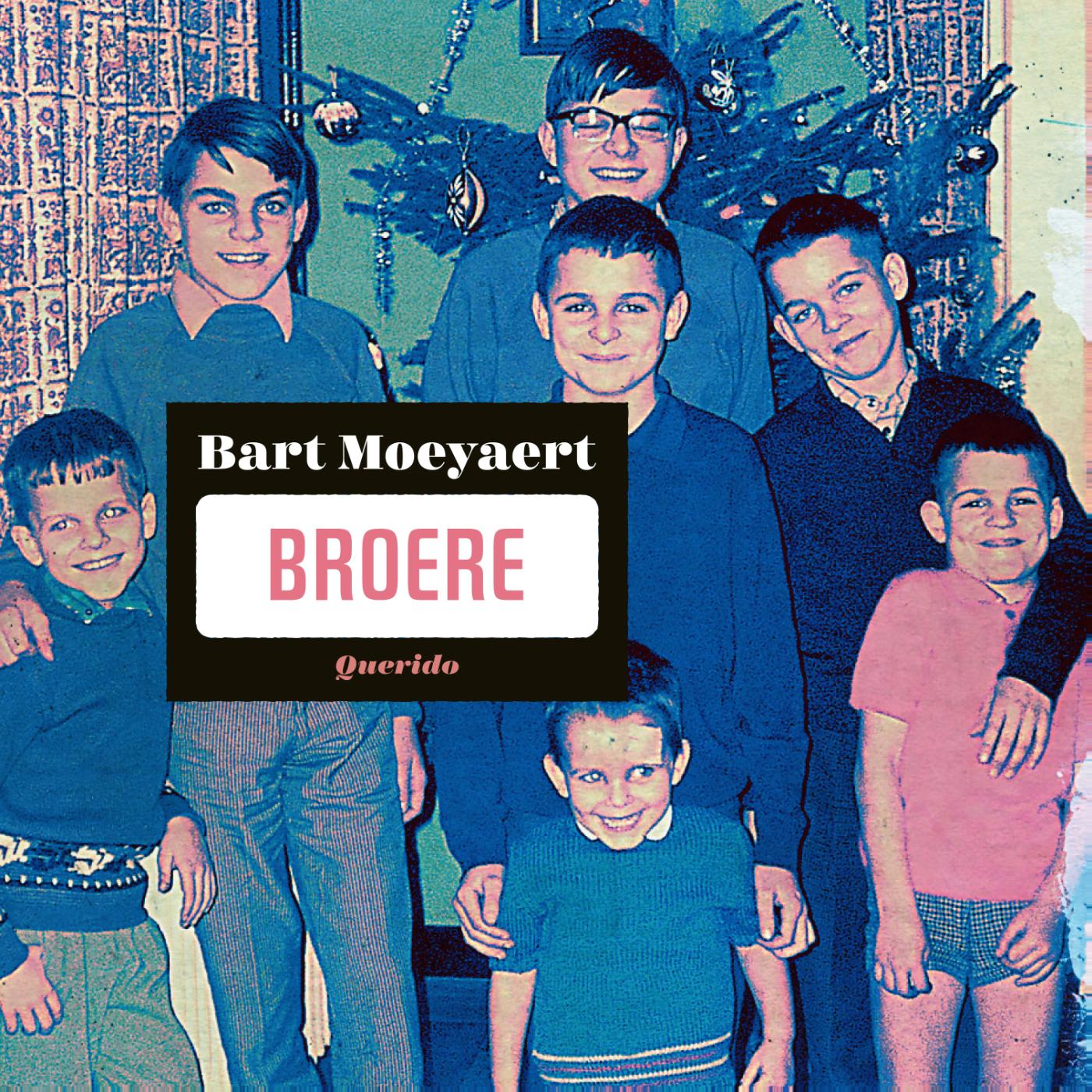Omslag van Broere