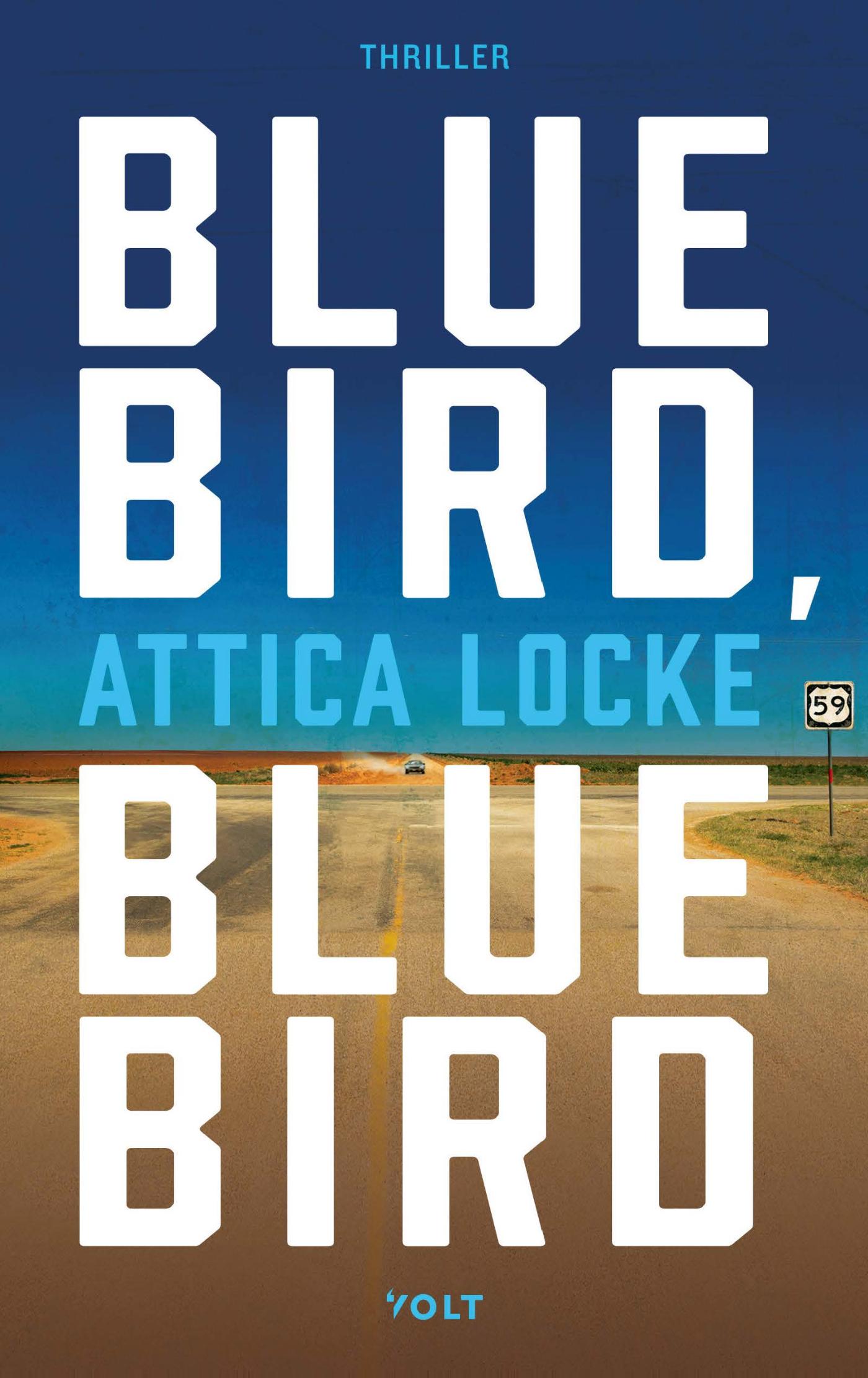 Omslag van Bluebird, bluebird