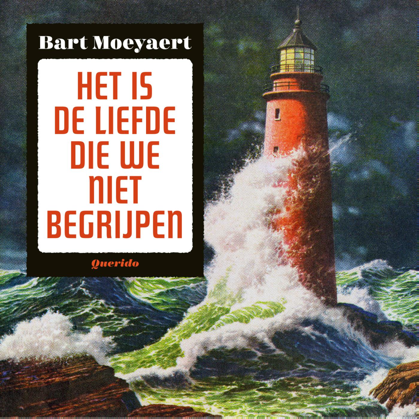 Omslag van Het is de liefde die we niet begrijpen
