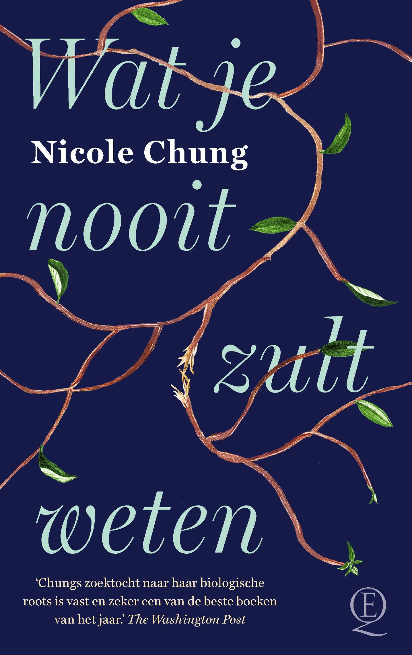 Omslag van Wat je nooit zult weten
