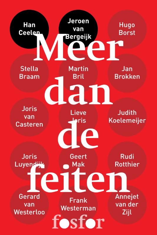 Omslag van Meer dan de feiten