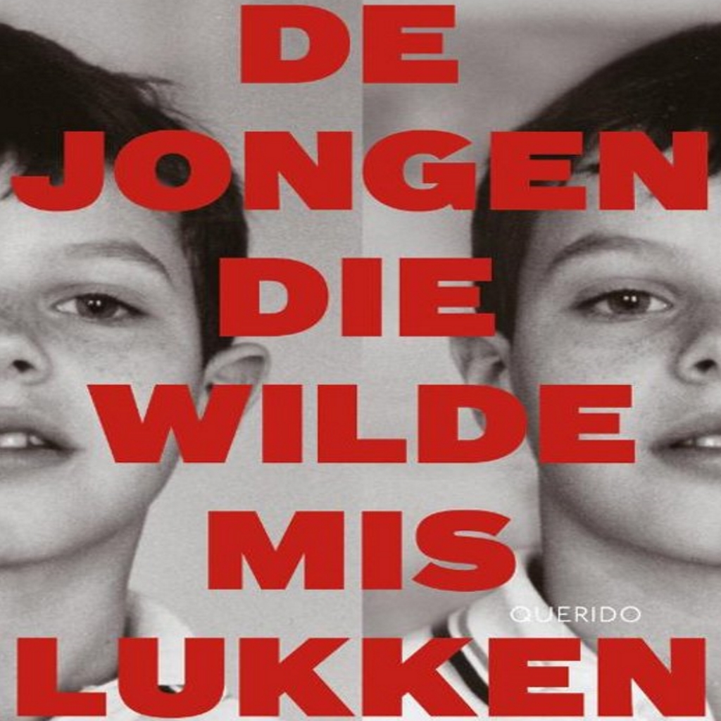 Omslag van De jongen die wilde mislukken