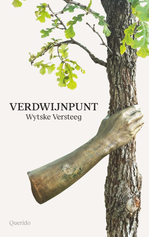 Omslag van Verdwijnpunt