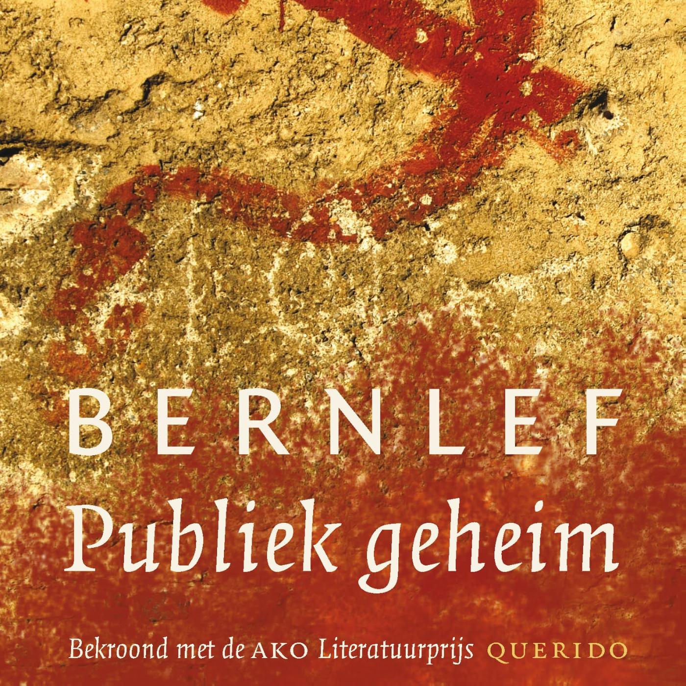 Omslag van Publiek geheim