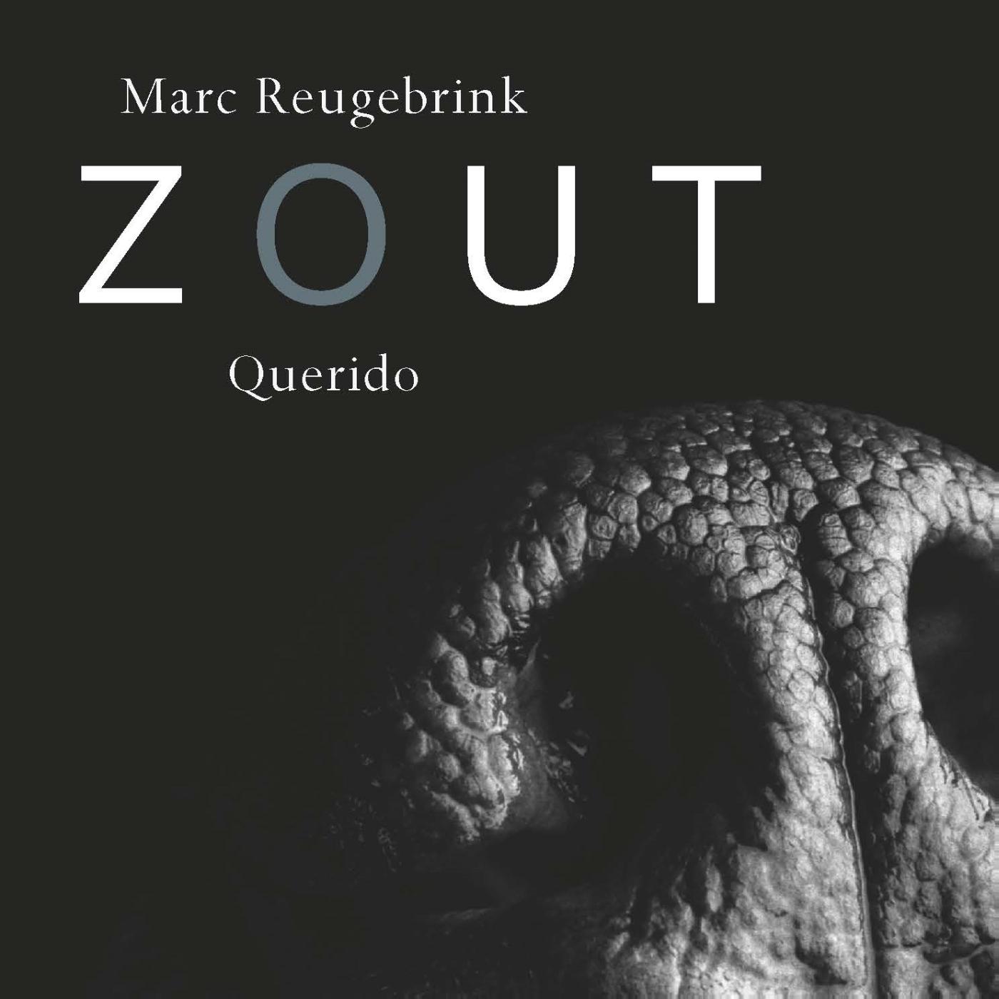 Omslag van Zout