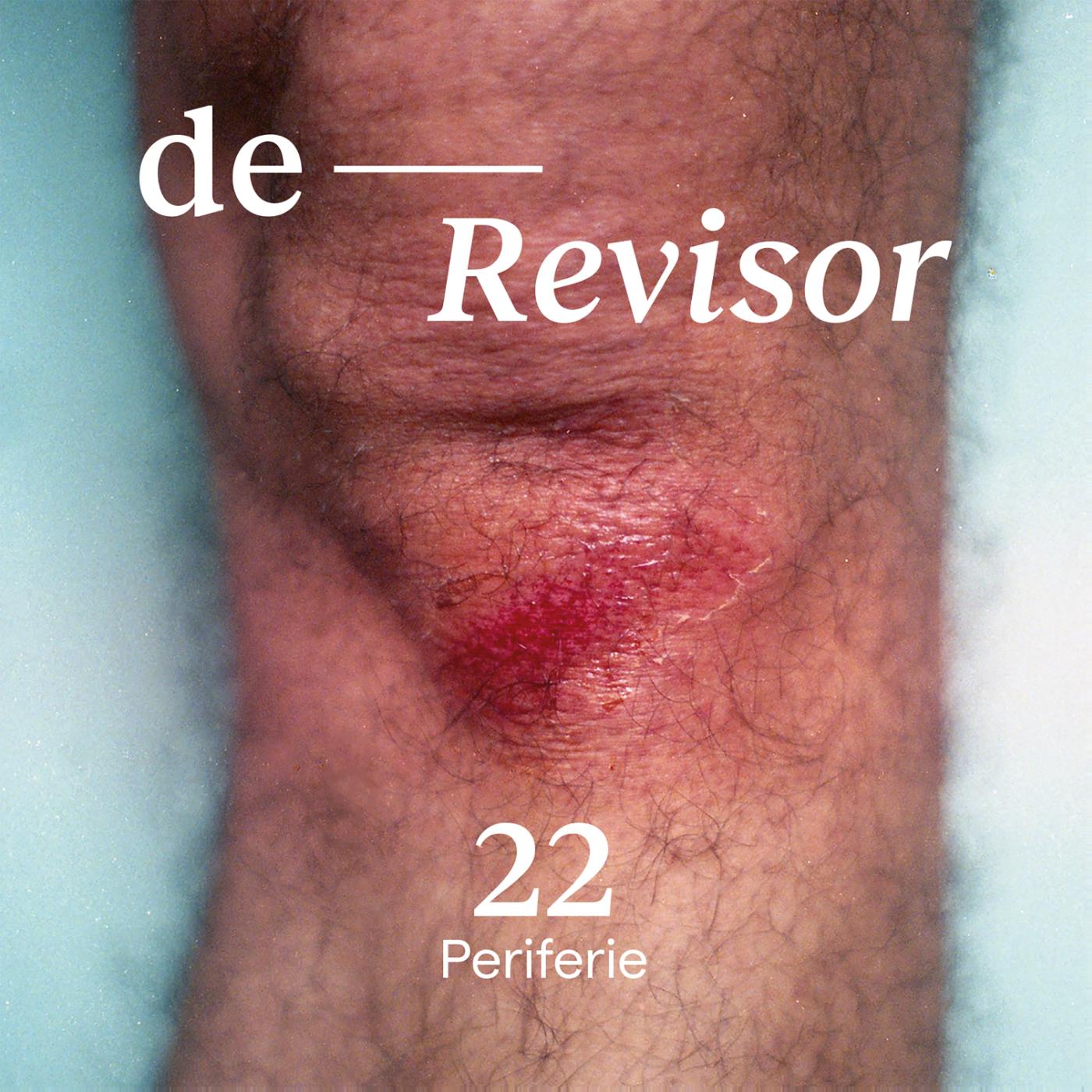 Omslag van De Revisor #22