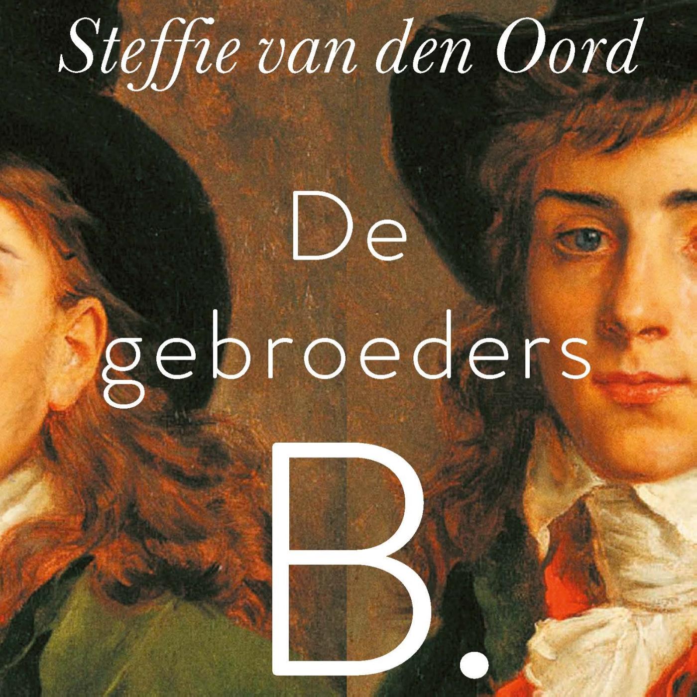 Omslag van De gebroeders B.
