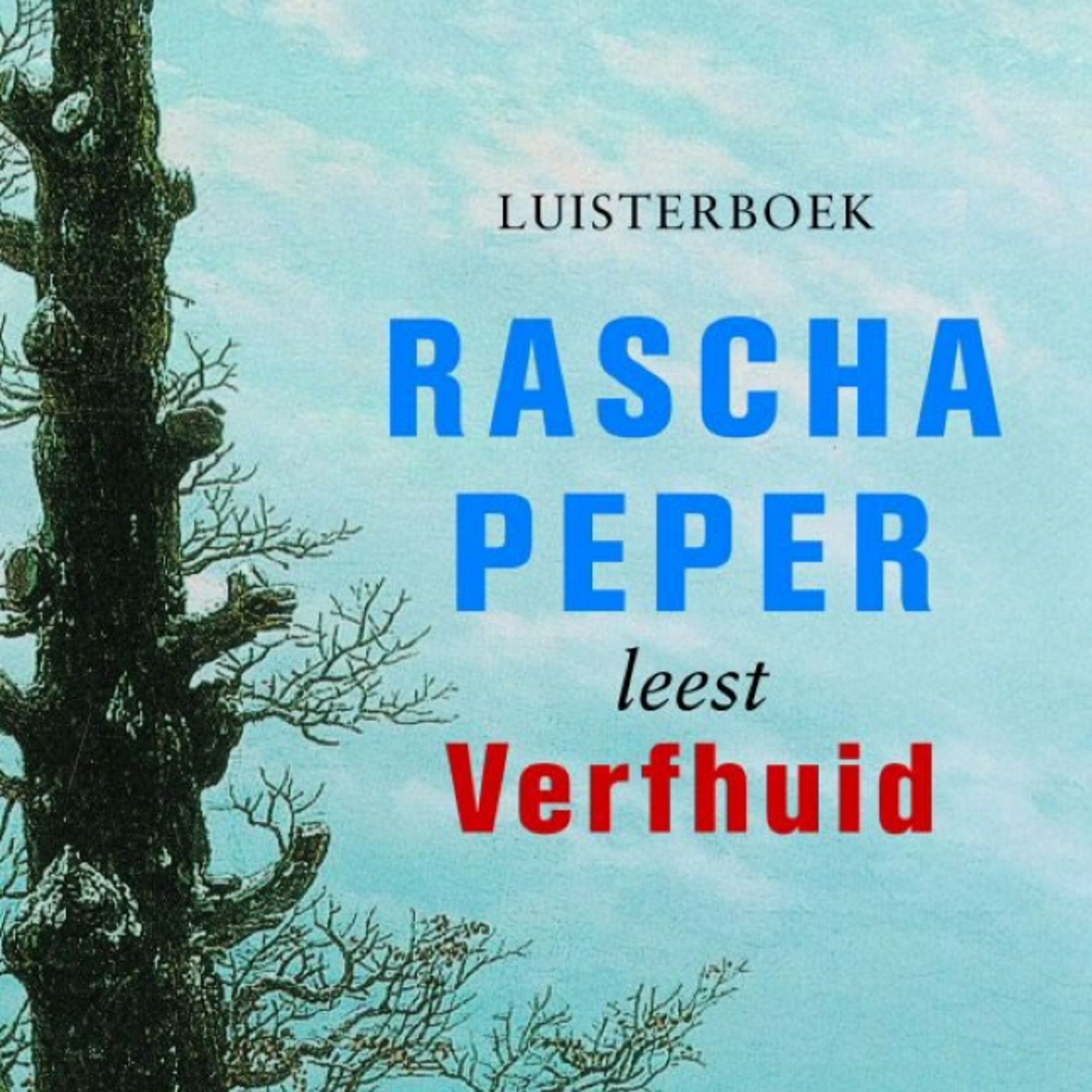 Omslag van Verfhuid