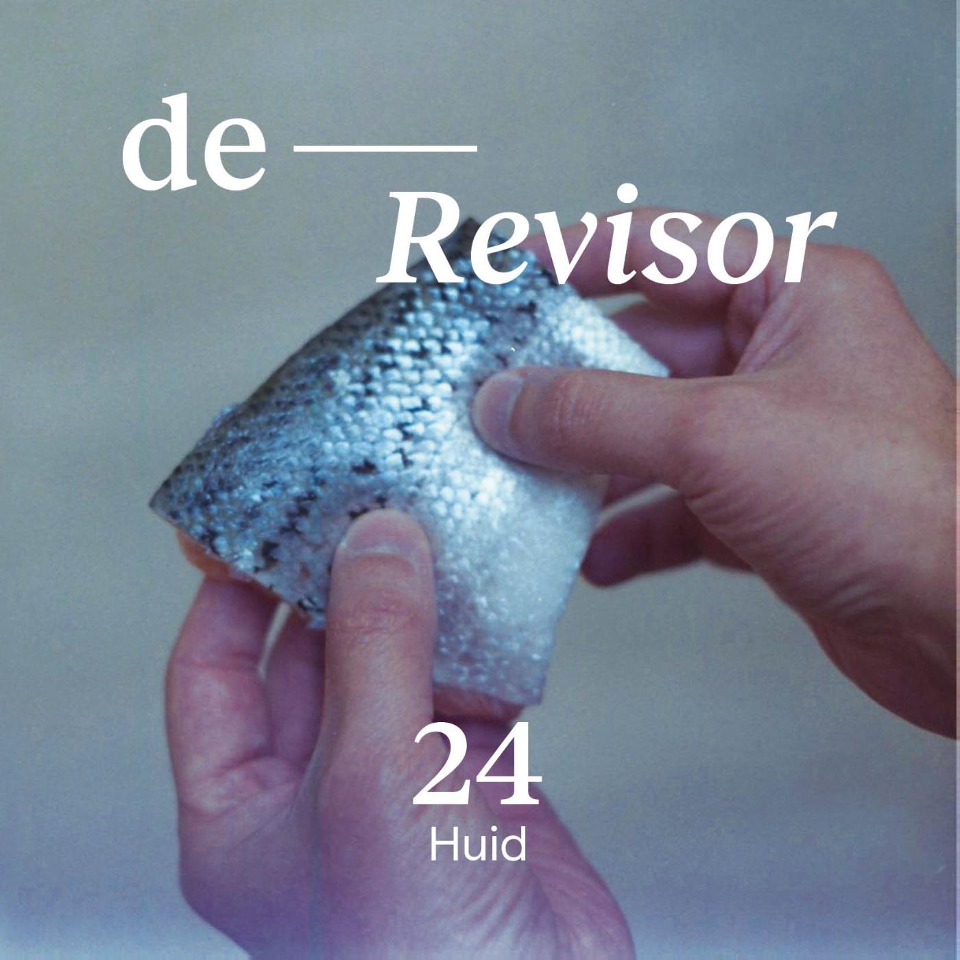 Omslag van Huid