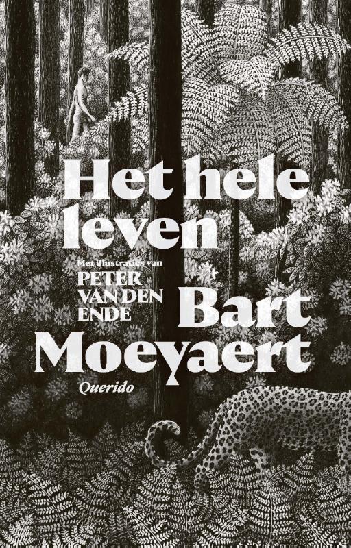 Omslag van Het hele leven