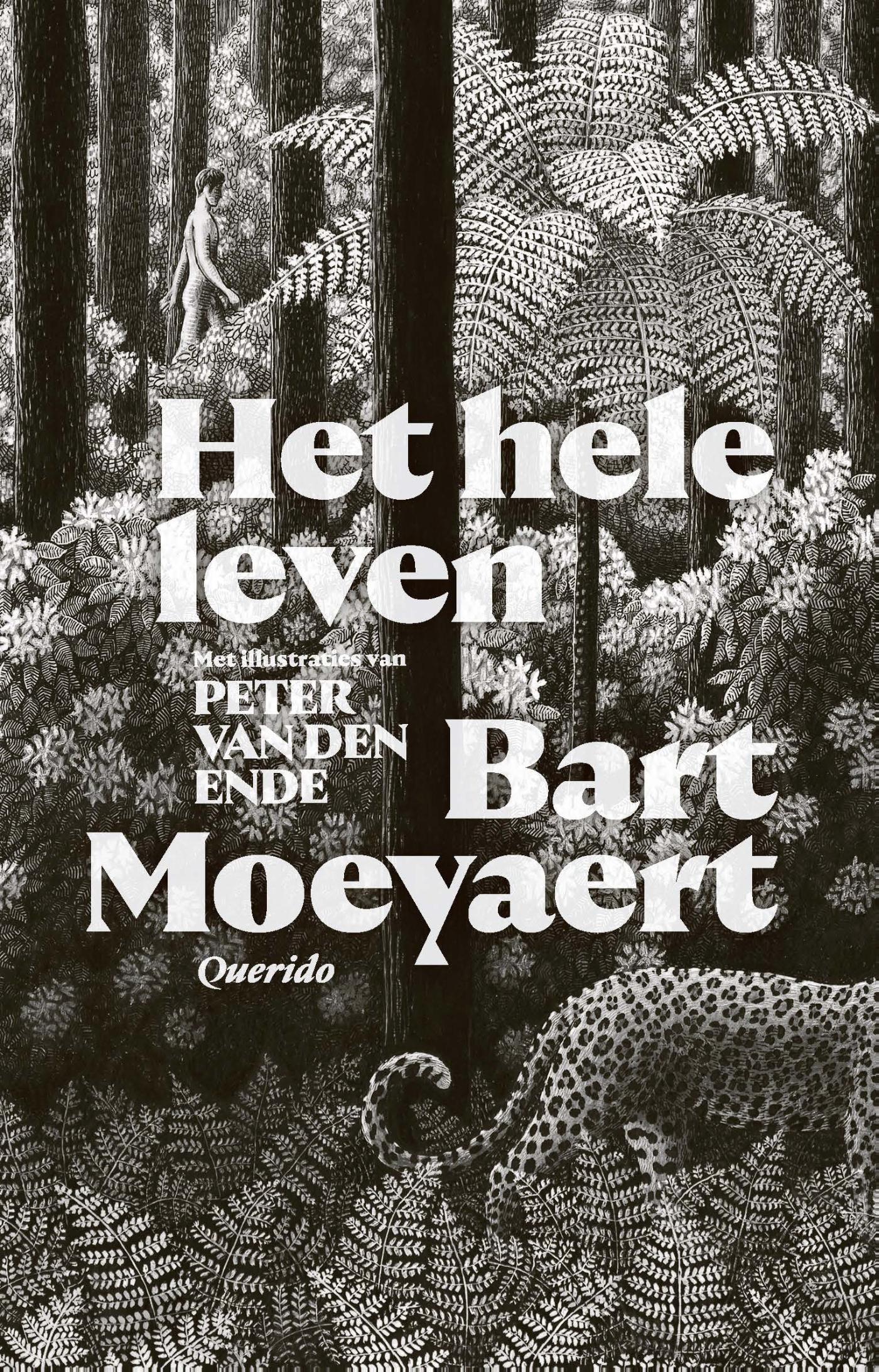 Omslag van Het hele leven