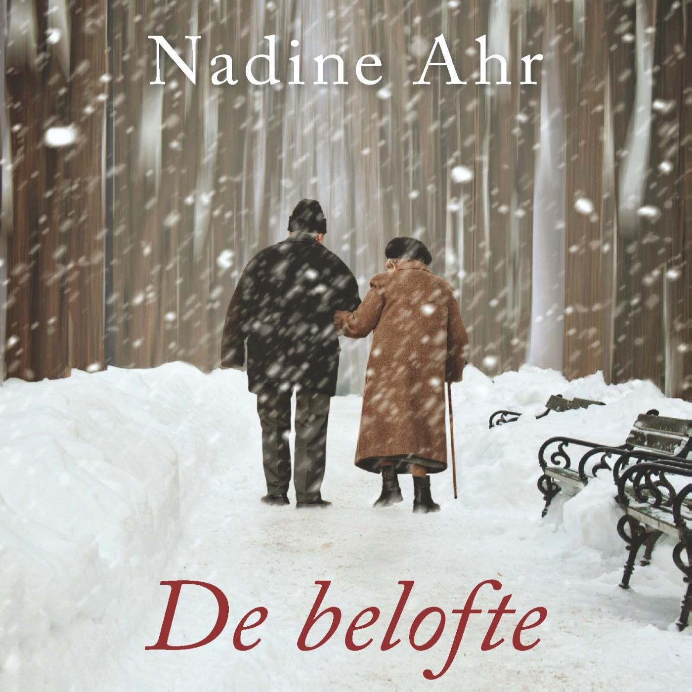 Omslag van De belofte