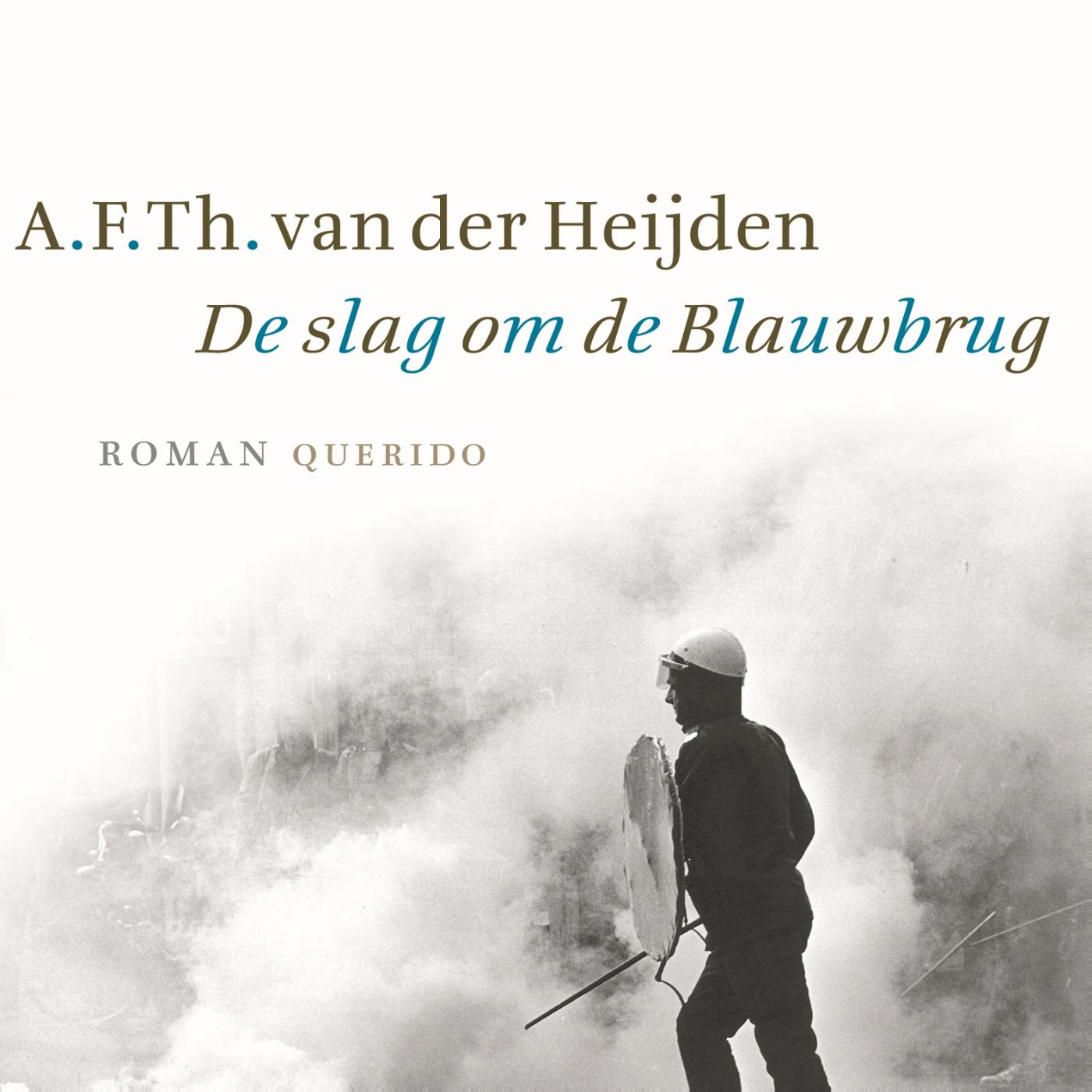 Omslag van De slag om de Blauwbrug
