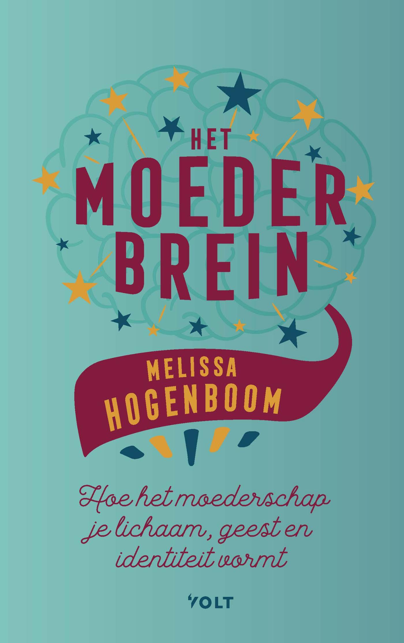 Omslag van Het moederbrein