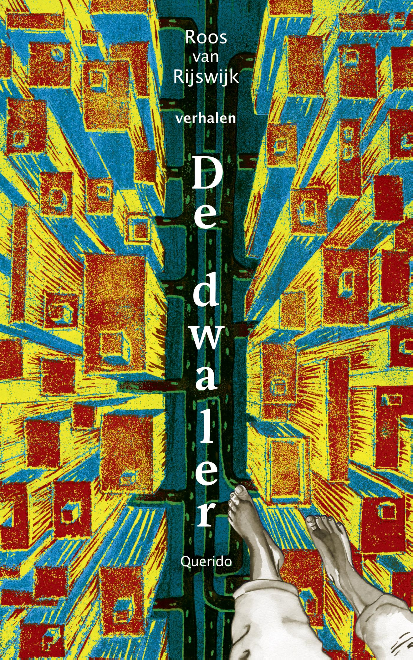 Omslag van De dwaler