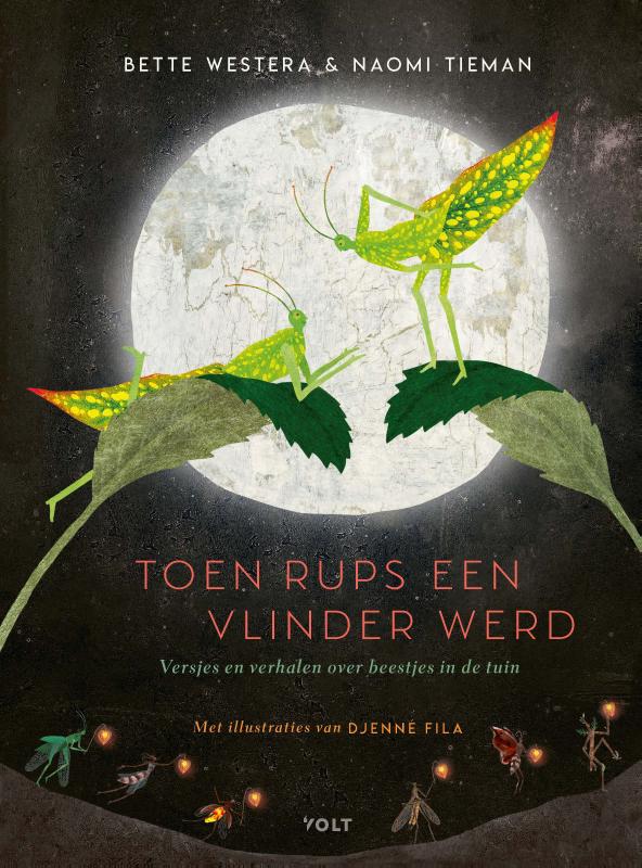 Omslag van Toen Rups een vlinder werd