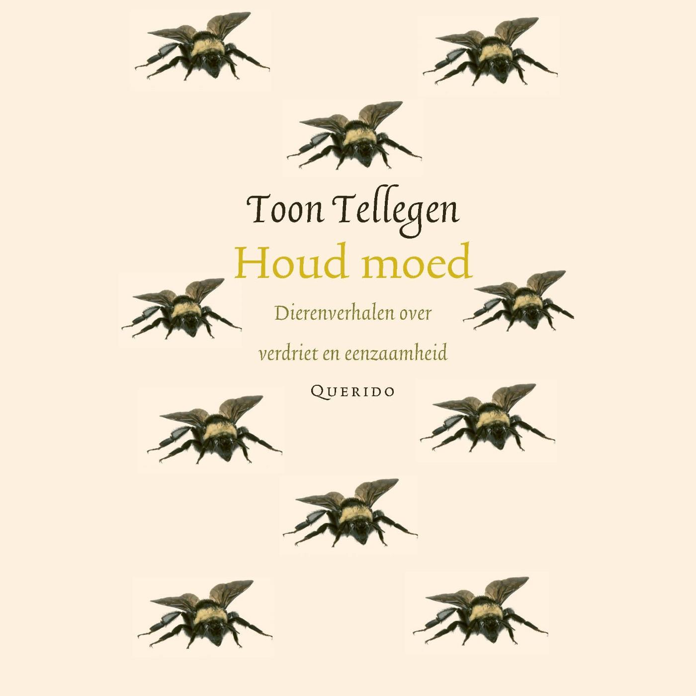 Omslag van Houd moed