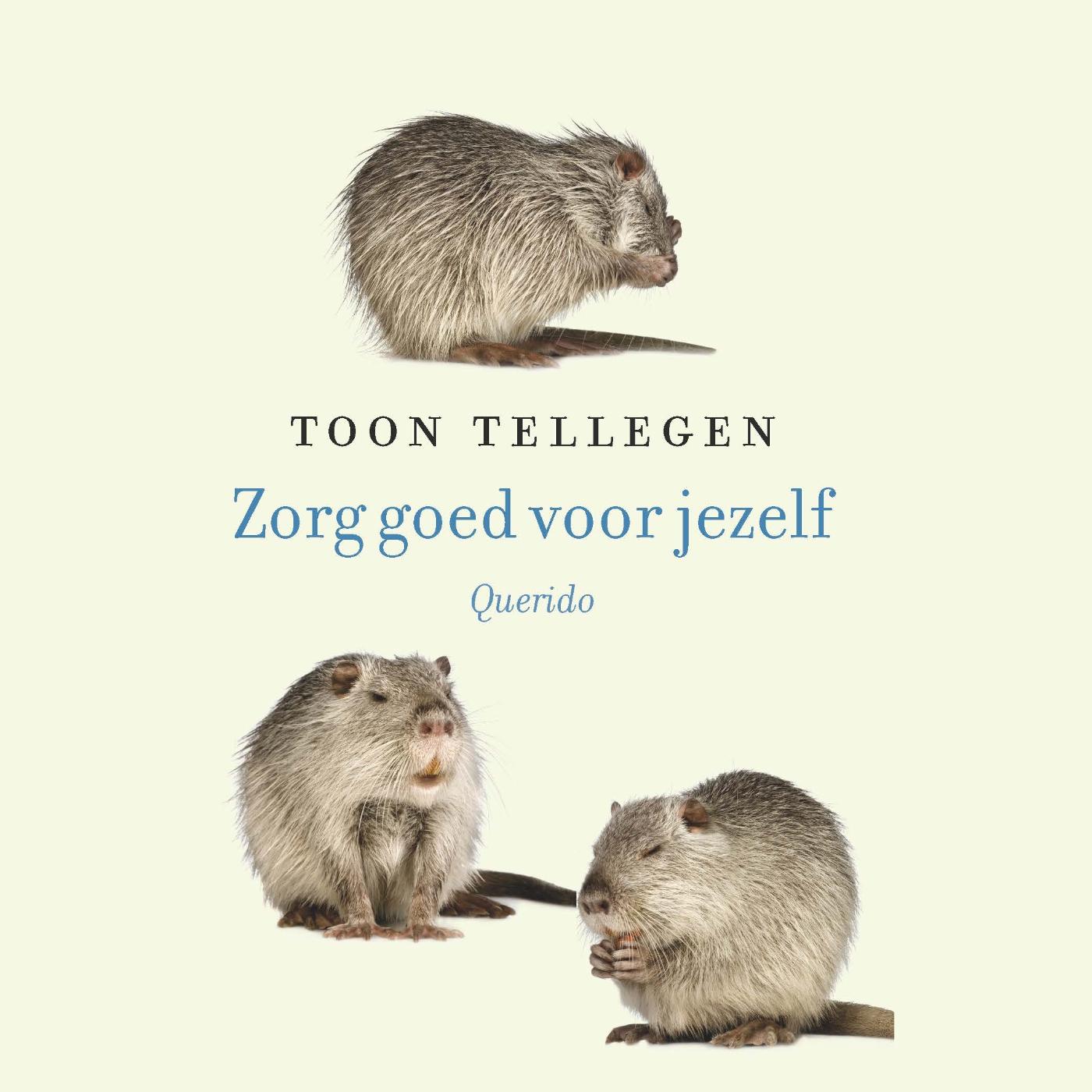 Omslag van Zorg goed voor jezelf