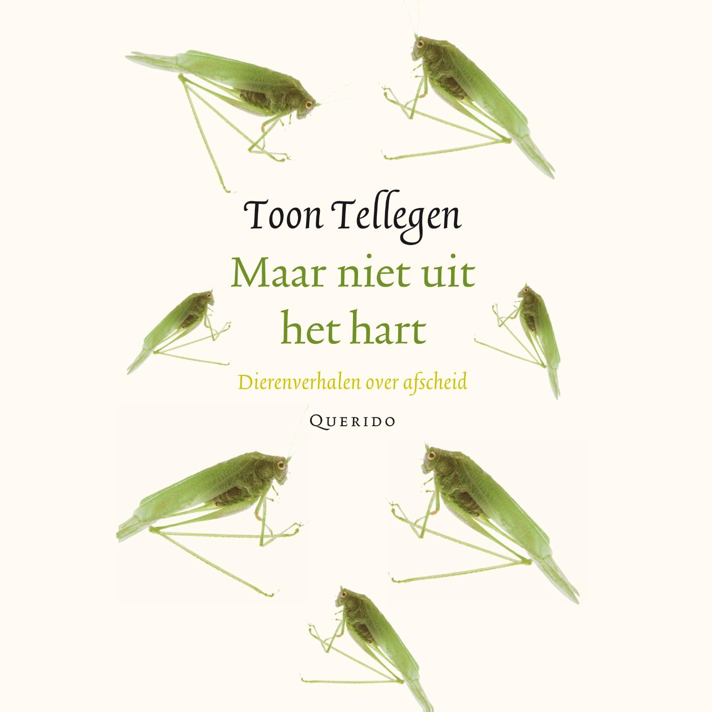 Omslag van Maar niet uit het hart