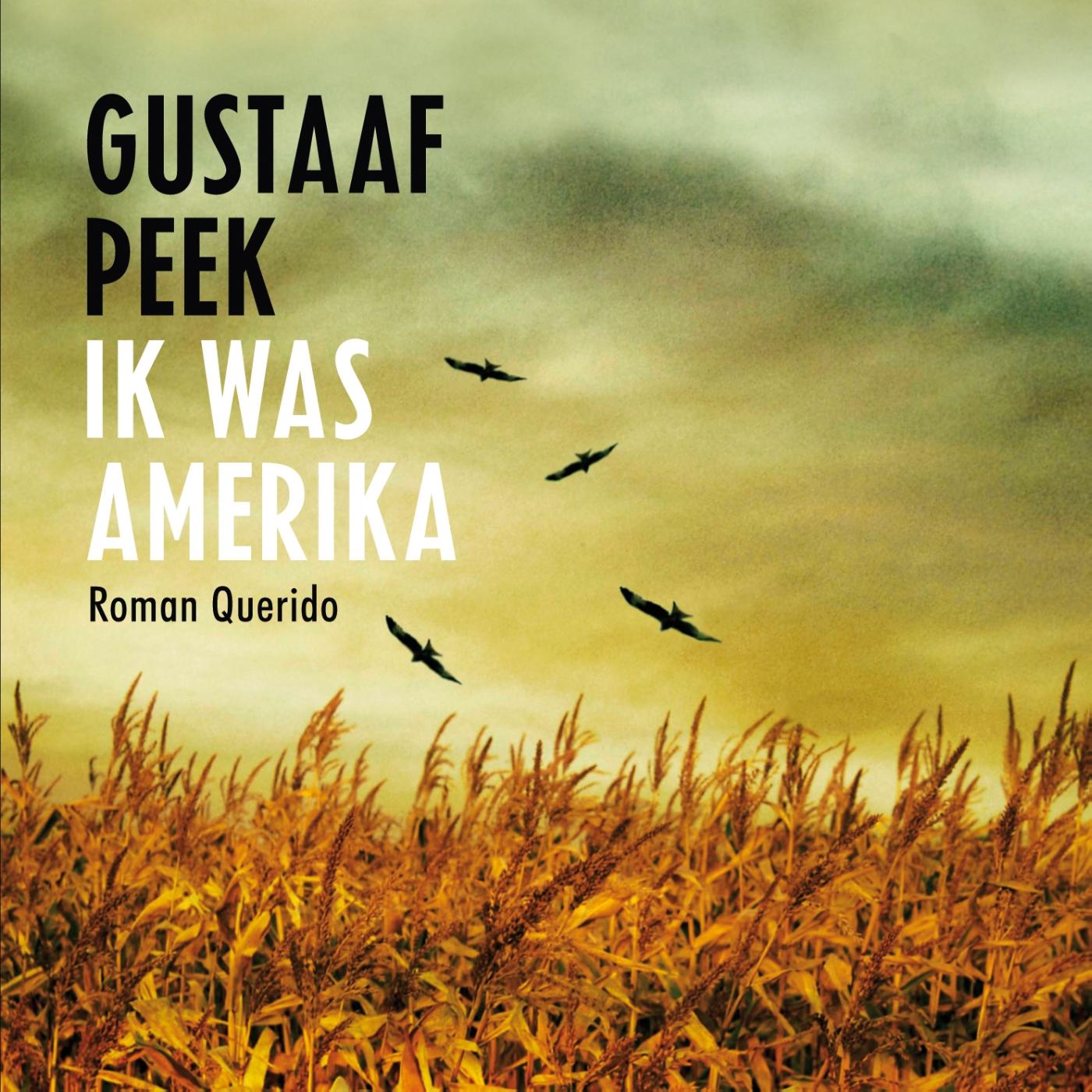 Omslag van Ik was Amerika